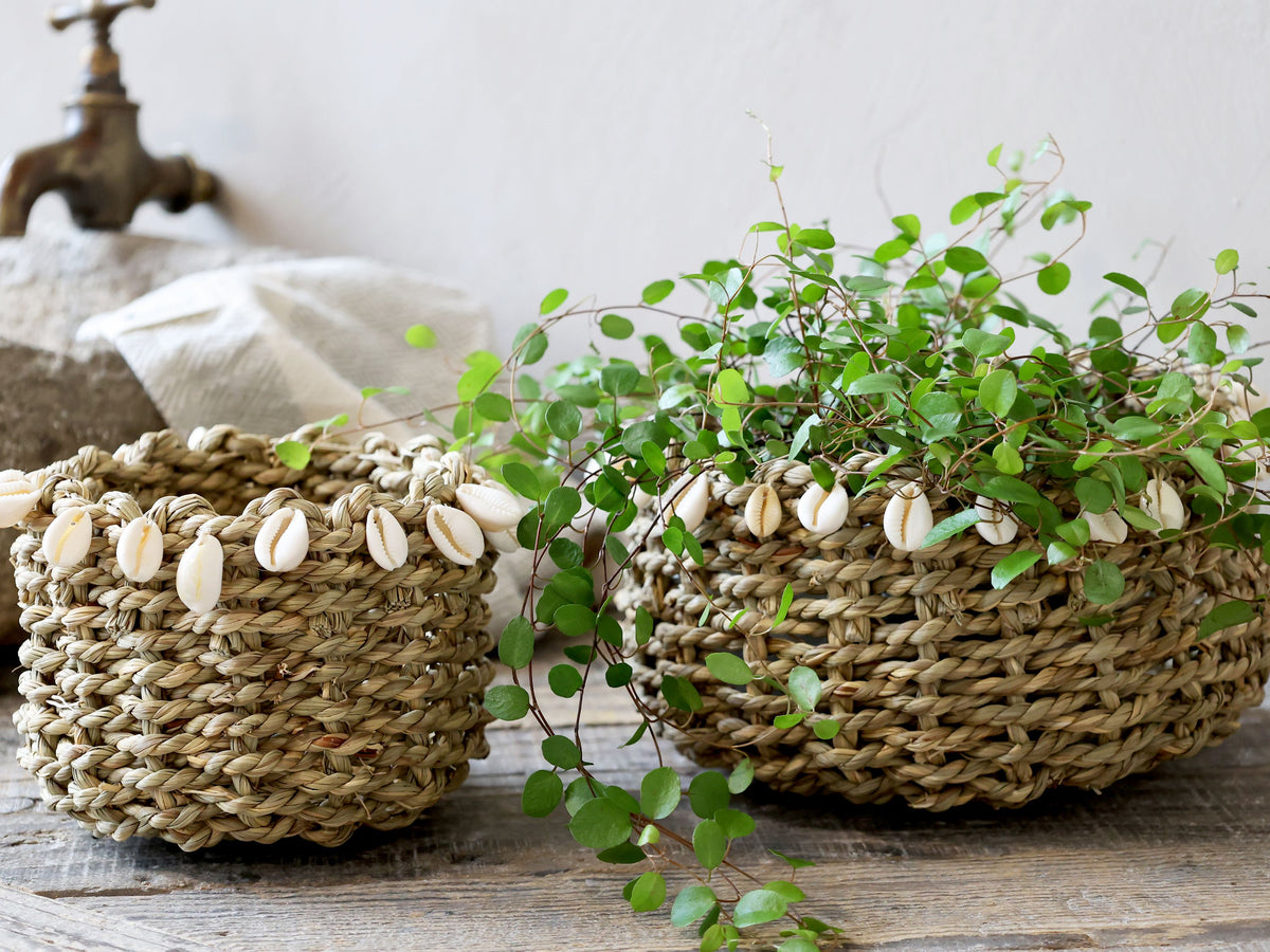 Geflochtener Korb mit Muscheln, 18 cm Durchmesser