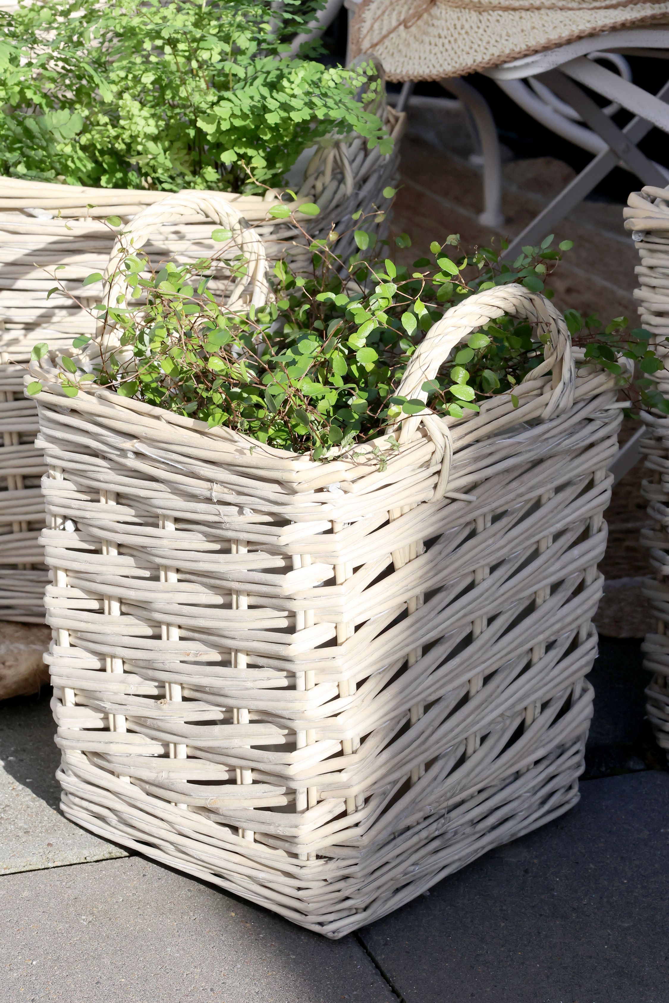 Übertöpfe aus Weide, 3er-Set, natur