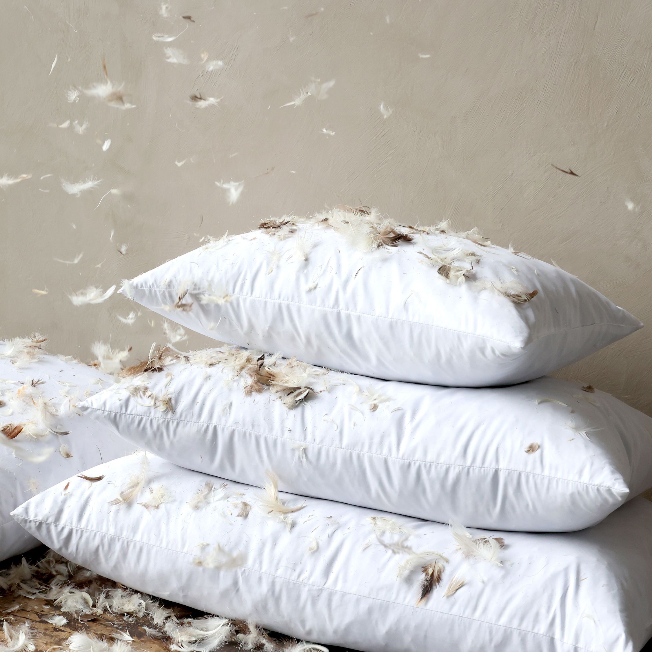 Innenkissen 40x60 mit Entenfedern und Daunen, creme