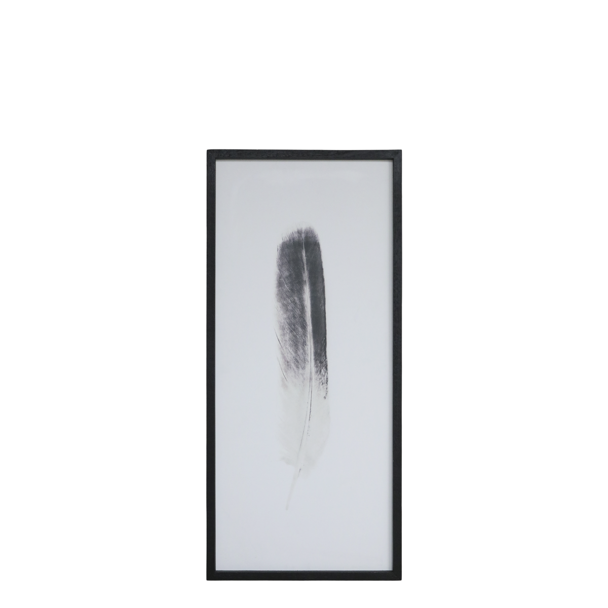 Bild mit Federnmotiv und schwarzem Rahmen, 91,5 cm hoch
