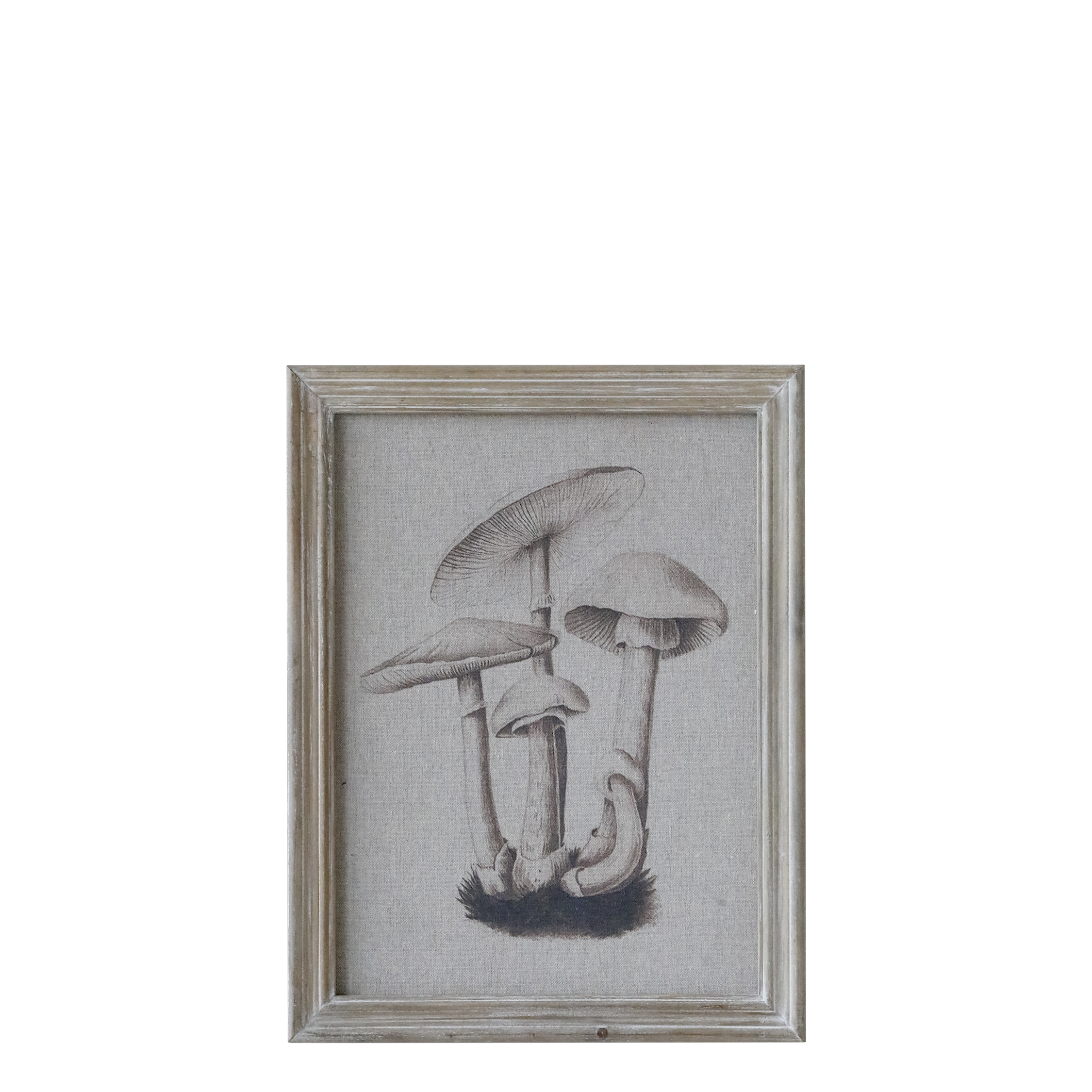 Bilderrahmen mit Pilzmotiv, Naturrahmen, 43x33 cm