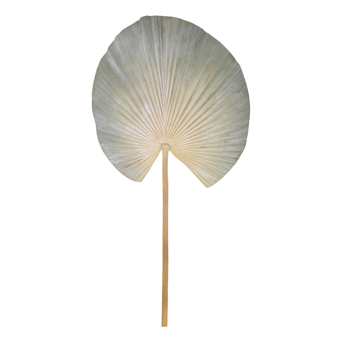 Blatt Dekoration: Kunstpflanze Fleur Palmen Blatt, 74,5 cm