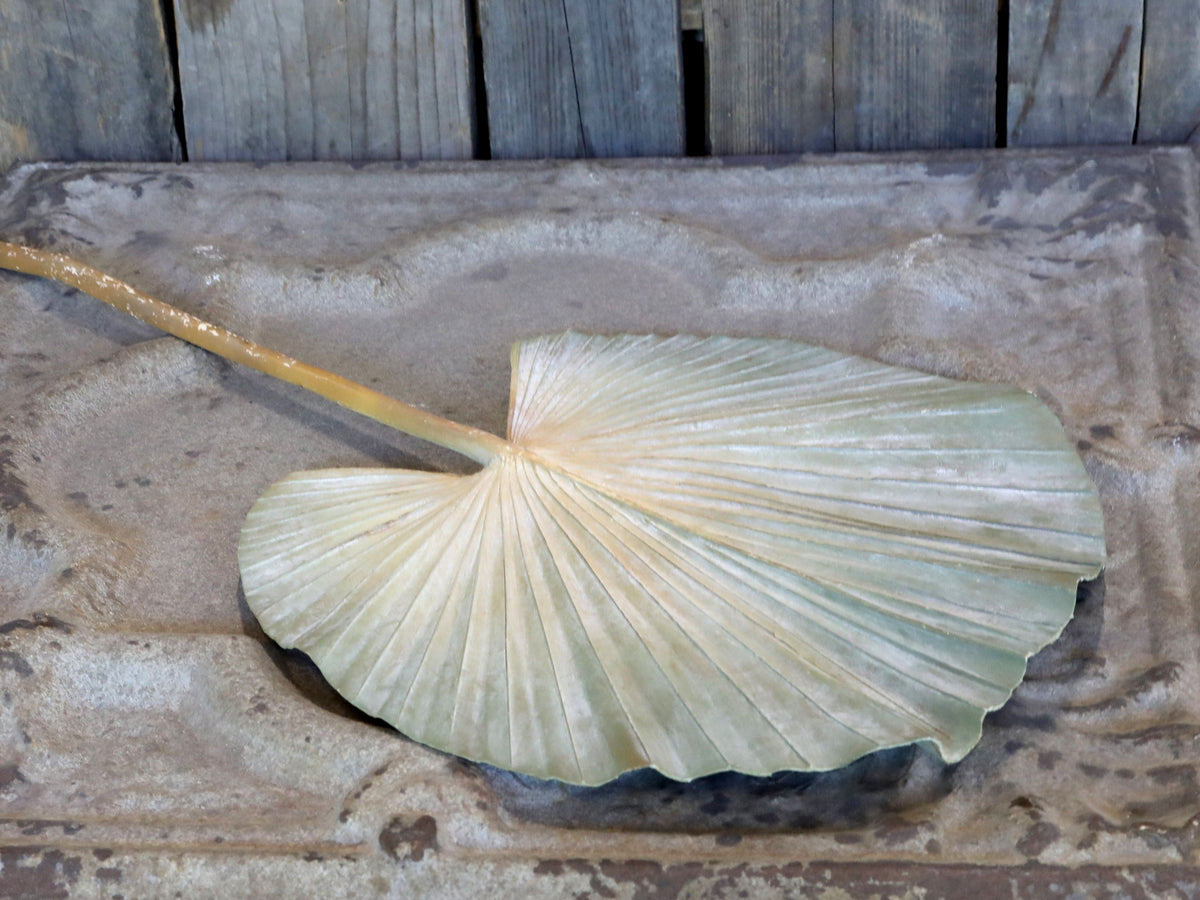 Blatt Dekoration: Kunstpflanze Fleur Palmen Blatt, 74,5 cm