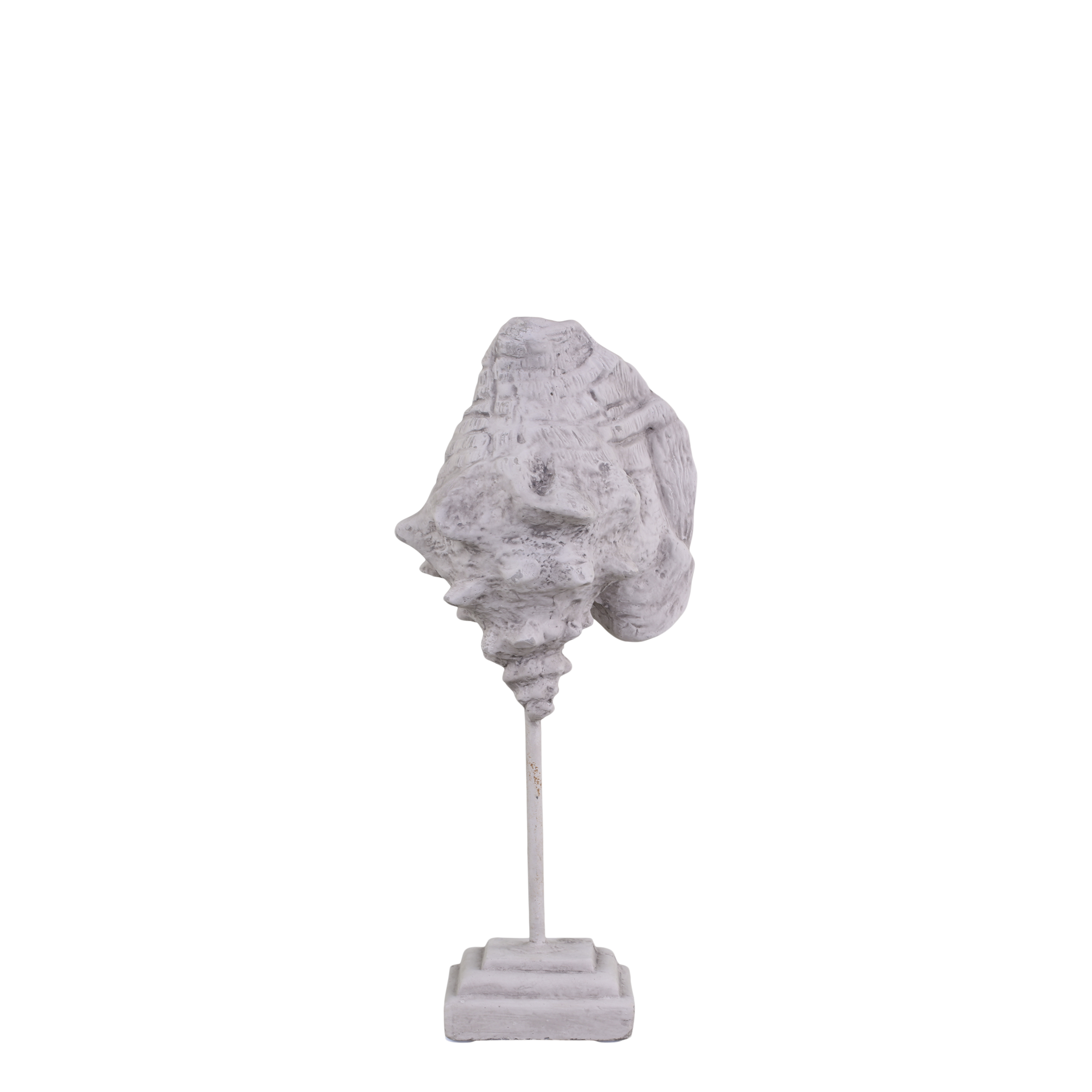 Conch on foot H26/L9/W7 cm antique grey