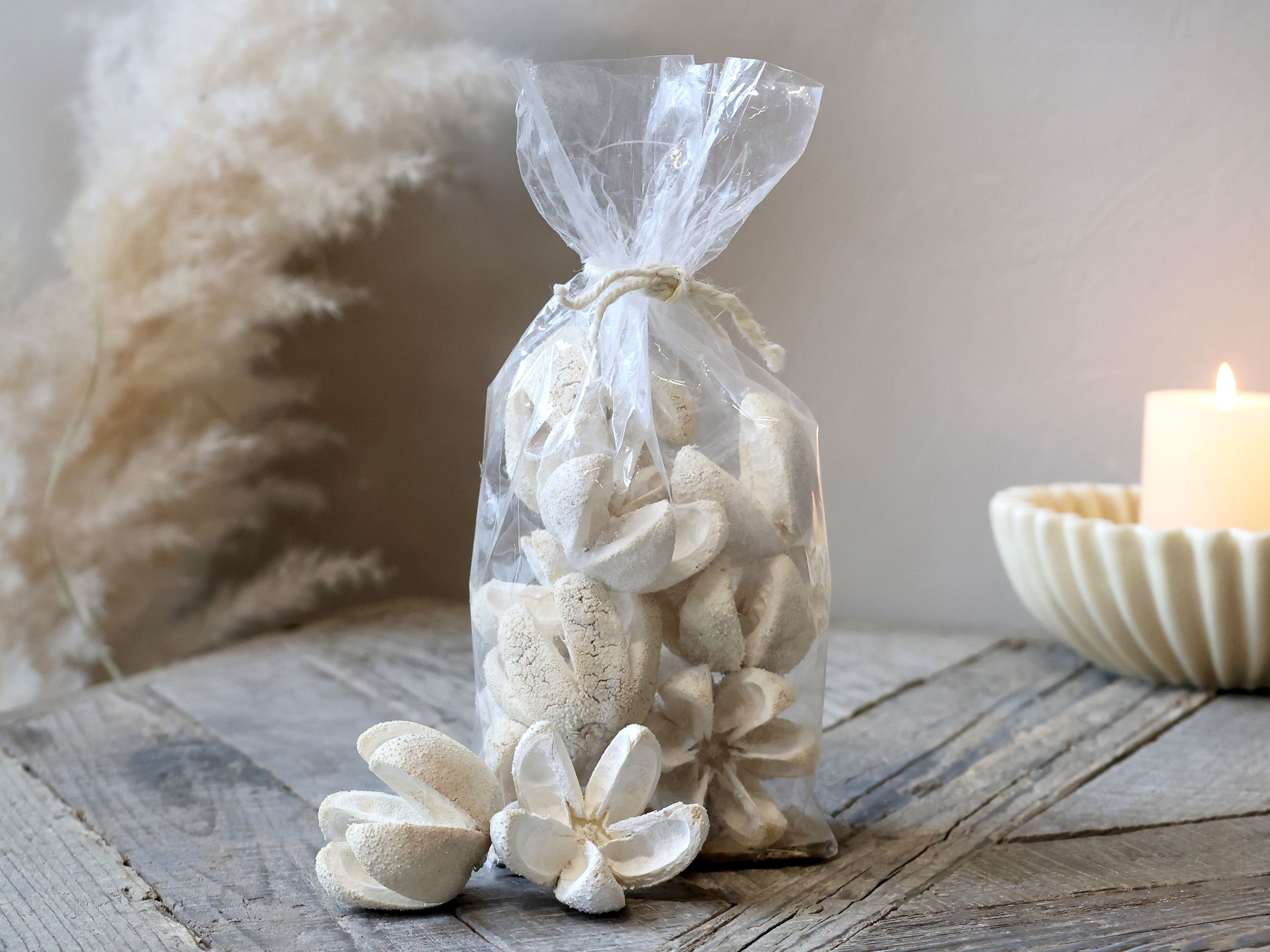 Getrocknete Blumen natur – Fleur Deko-Blume
