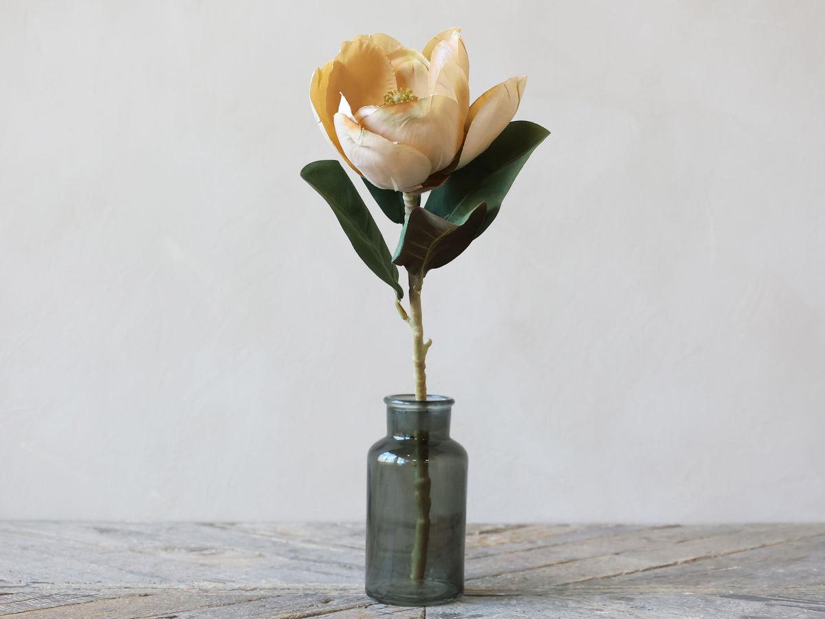 Blume bestellen: Magnolie beige 74 cm