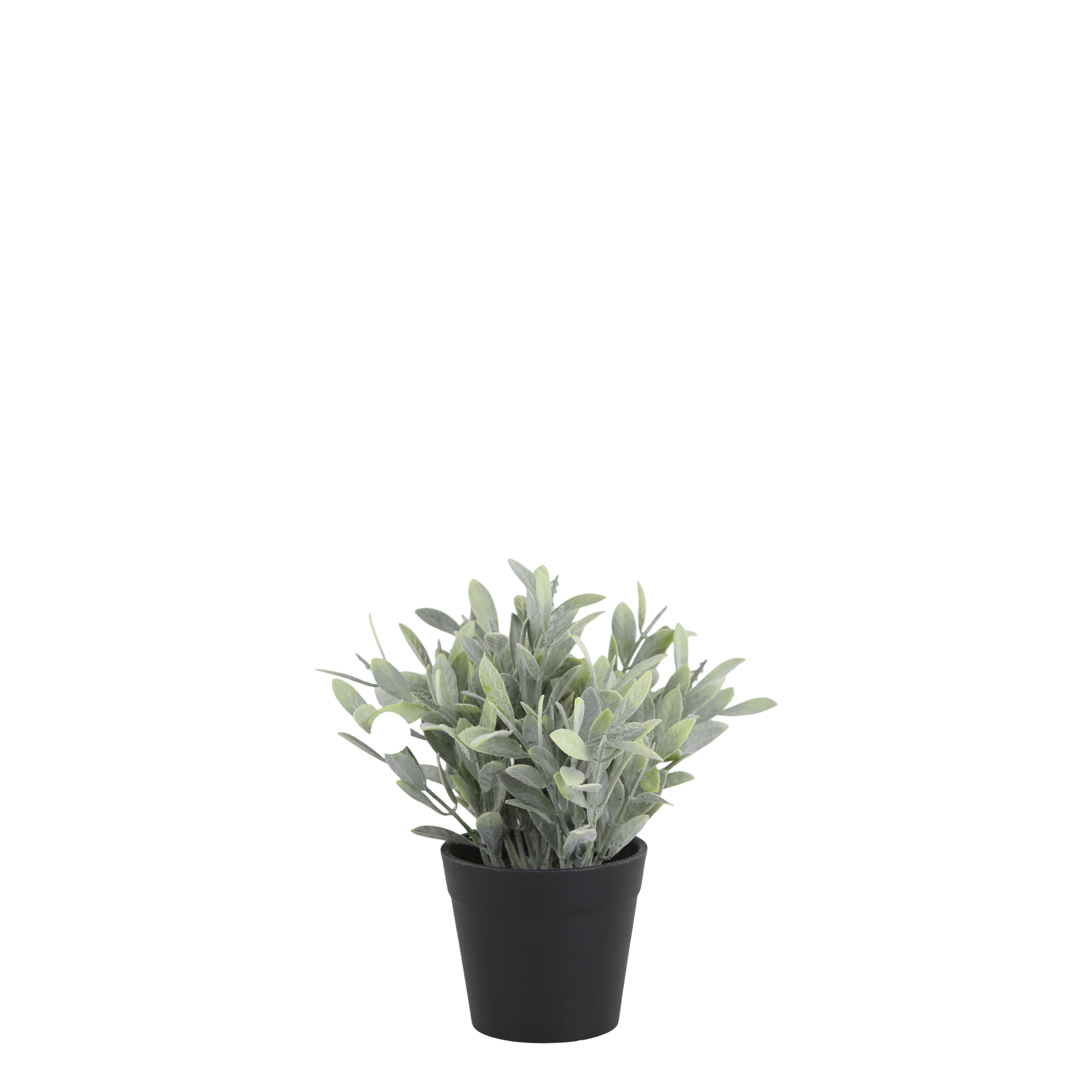 Kunstpflanze Fleur mit Topf, grün, 18 cm hoch