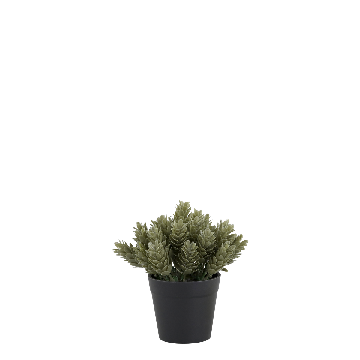 Kunstpflanze Fleur mit Topf, 15 cm hoch, grün