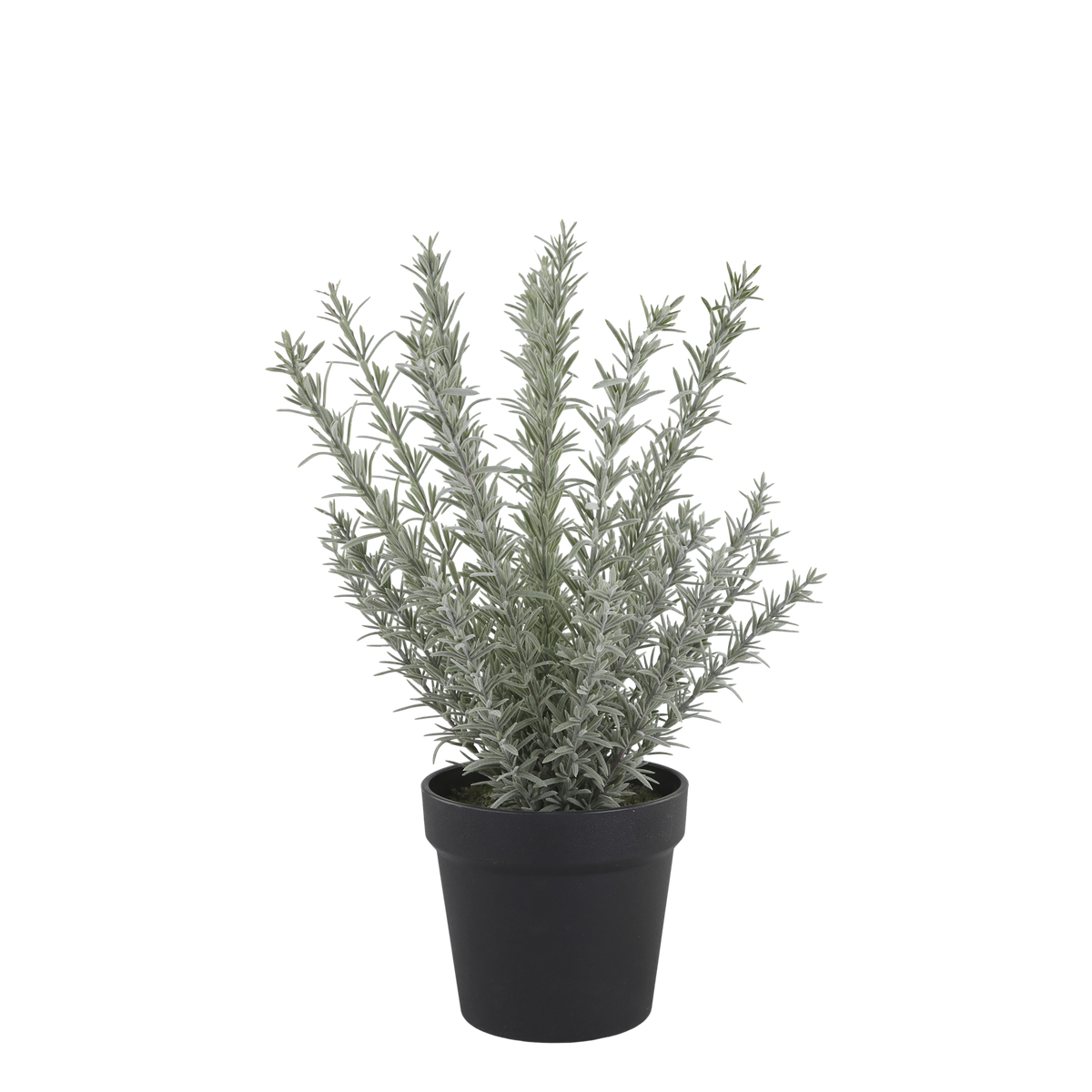 Kunstpflanze Rosmarin im Topf, 45 cm hoch, grün