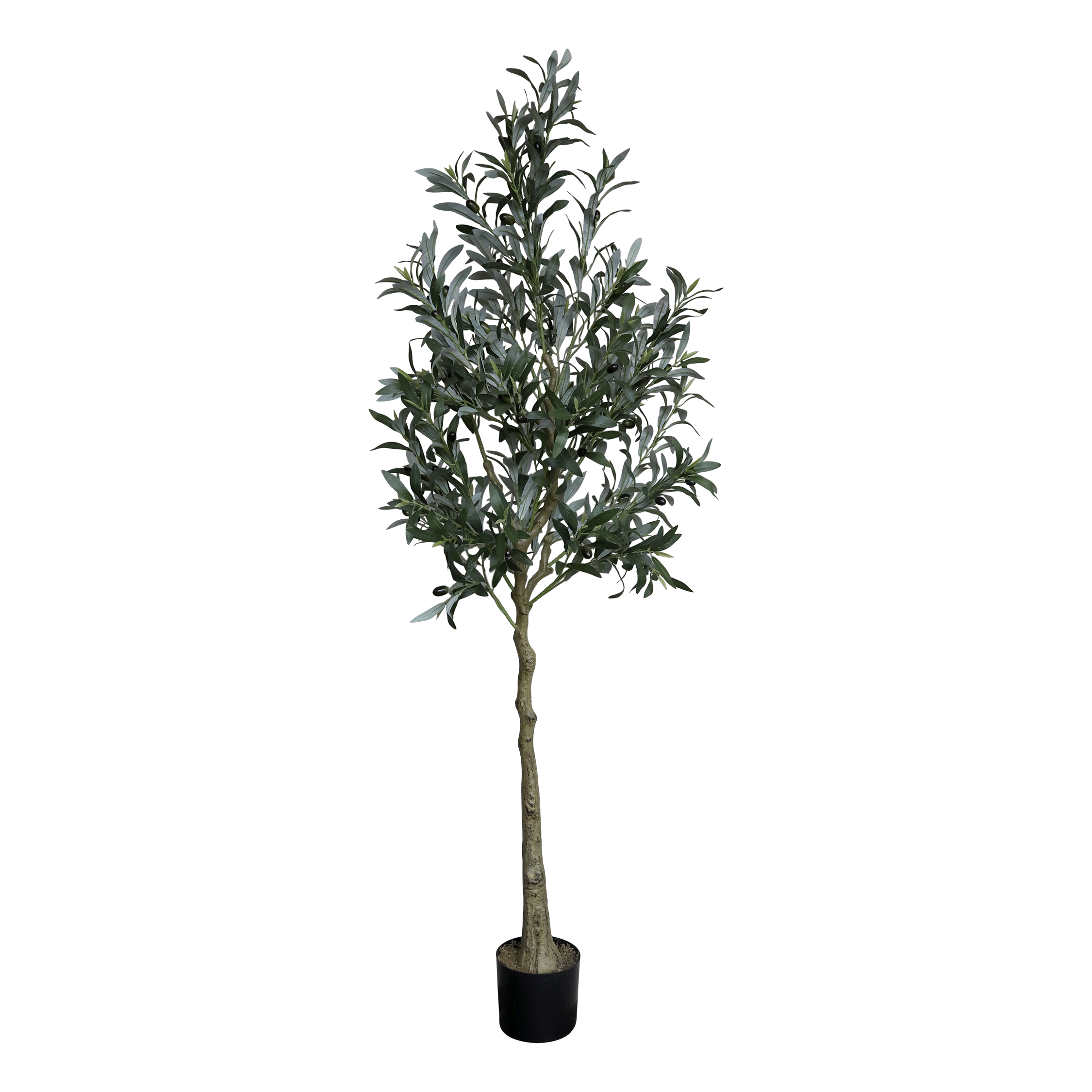 Fleur Olive Tree H170/D15 cm green
