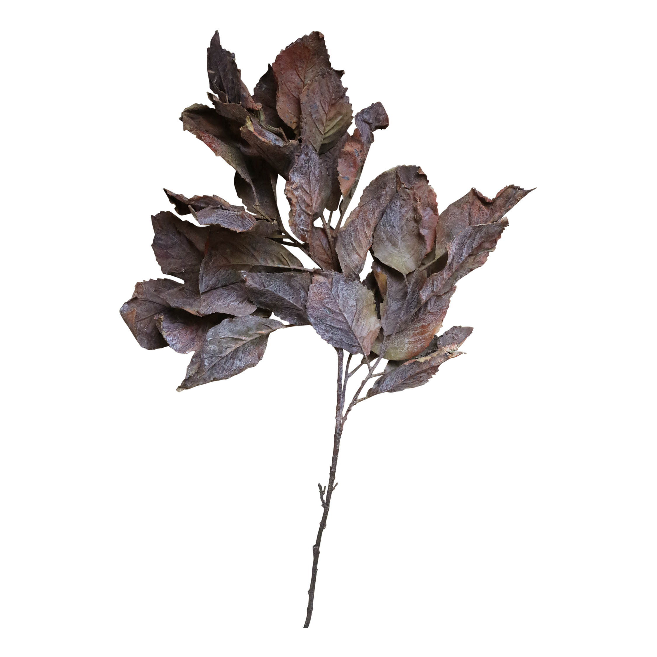 Fleur Branch w. leaves H115 cm nature
