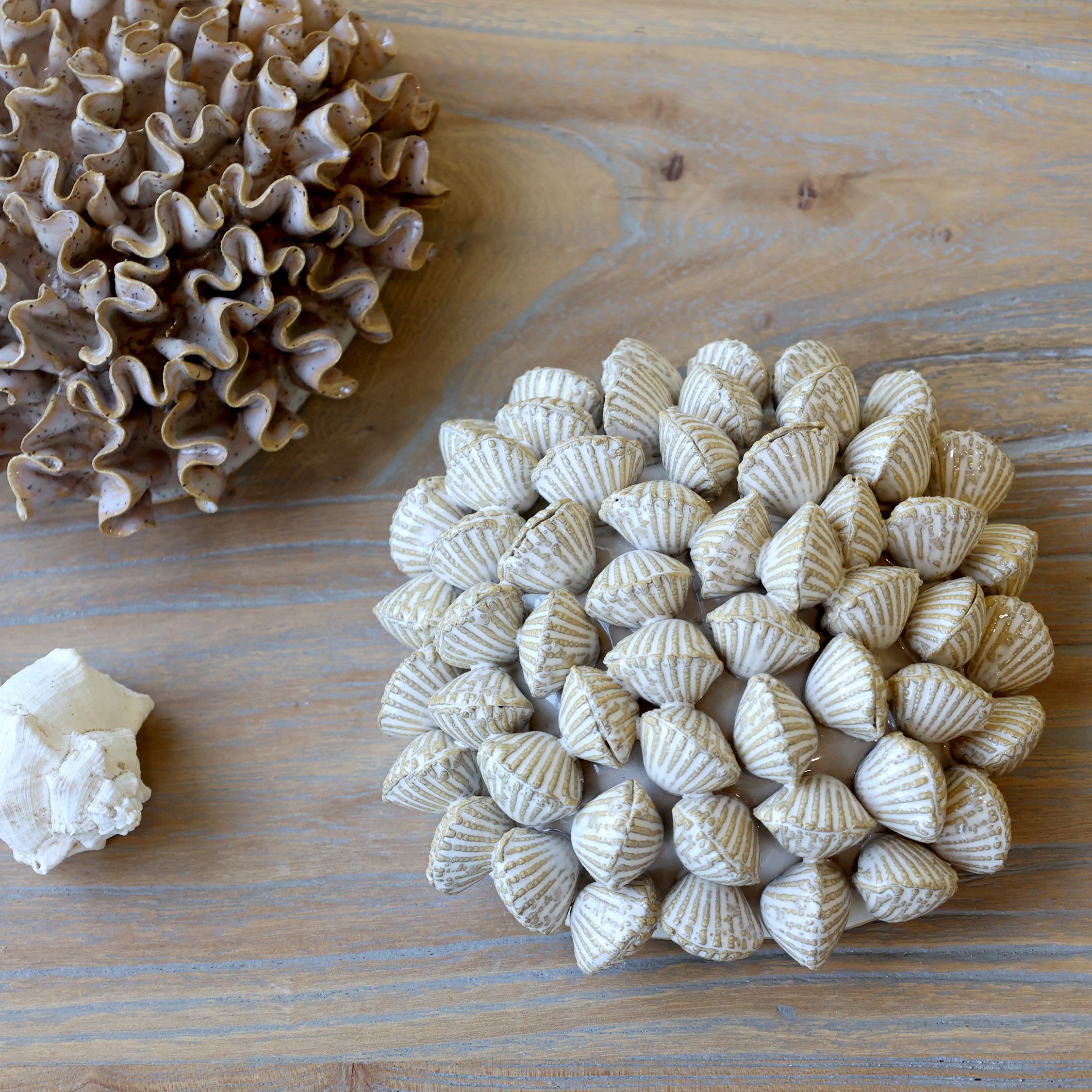 Muscheln Deko aus Steingut, 14,5 cm, creme