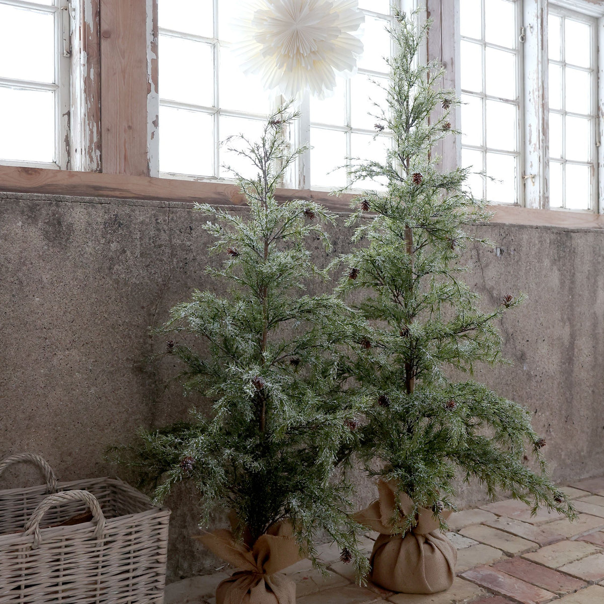 Tannenbaum mit Schnee und Zapfen, 120 cm hoch, mit Jute