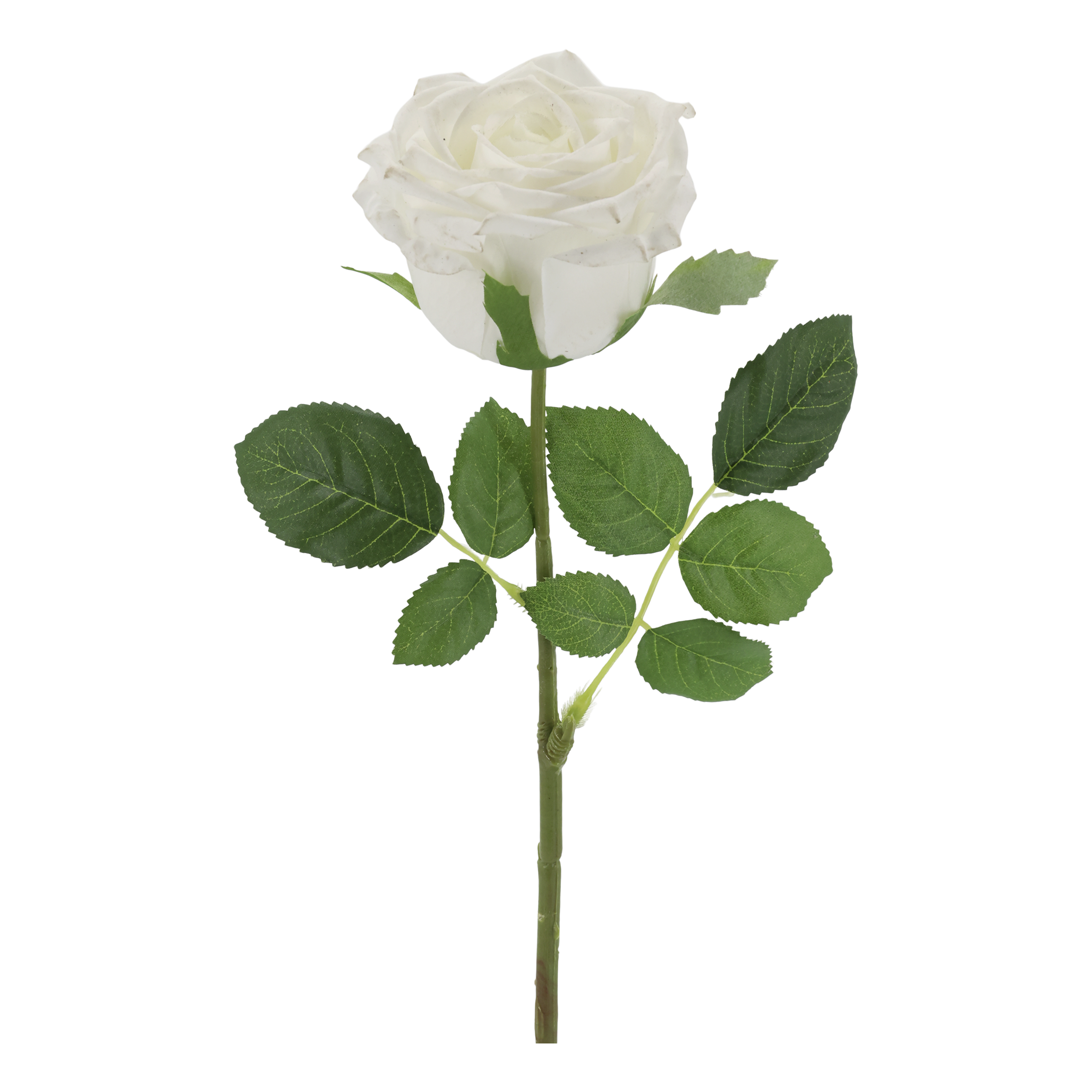 Fleur Rose Silk Touch H43 cm white