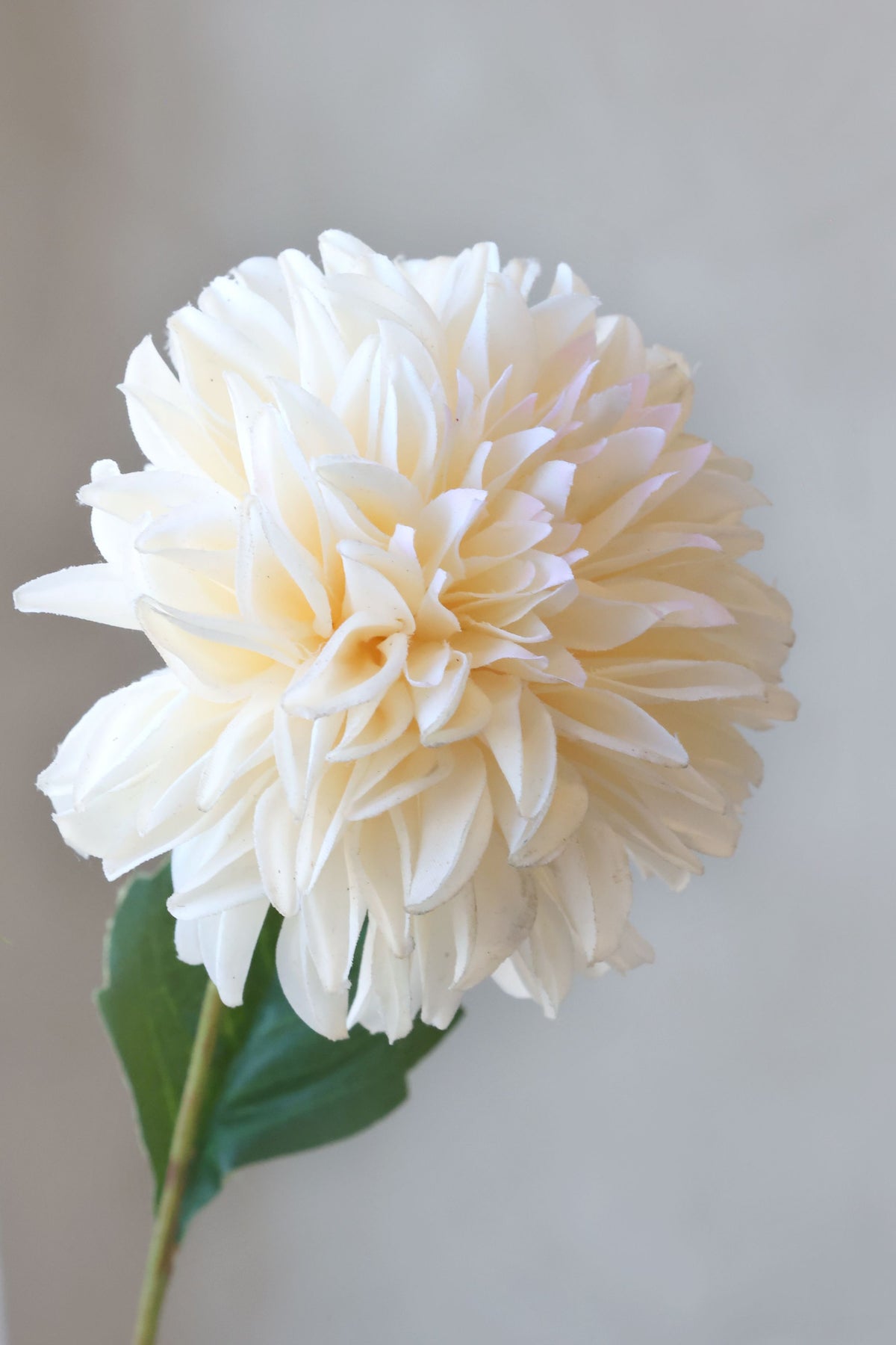 Dahlie Kunstblume mit Stiel, champagner, 44 cm