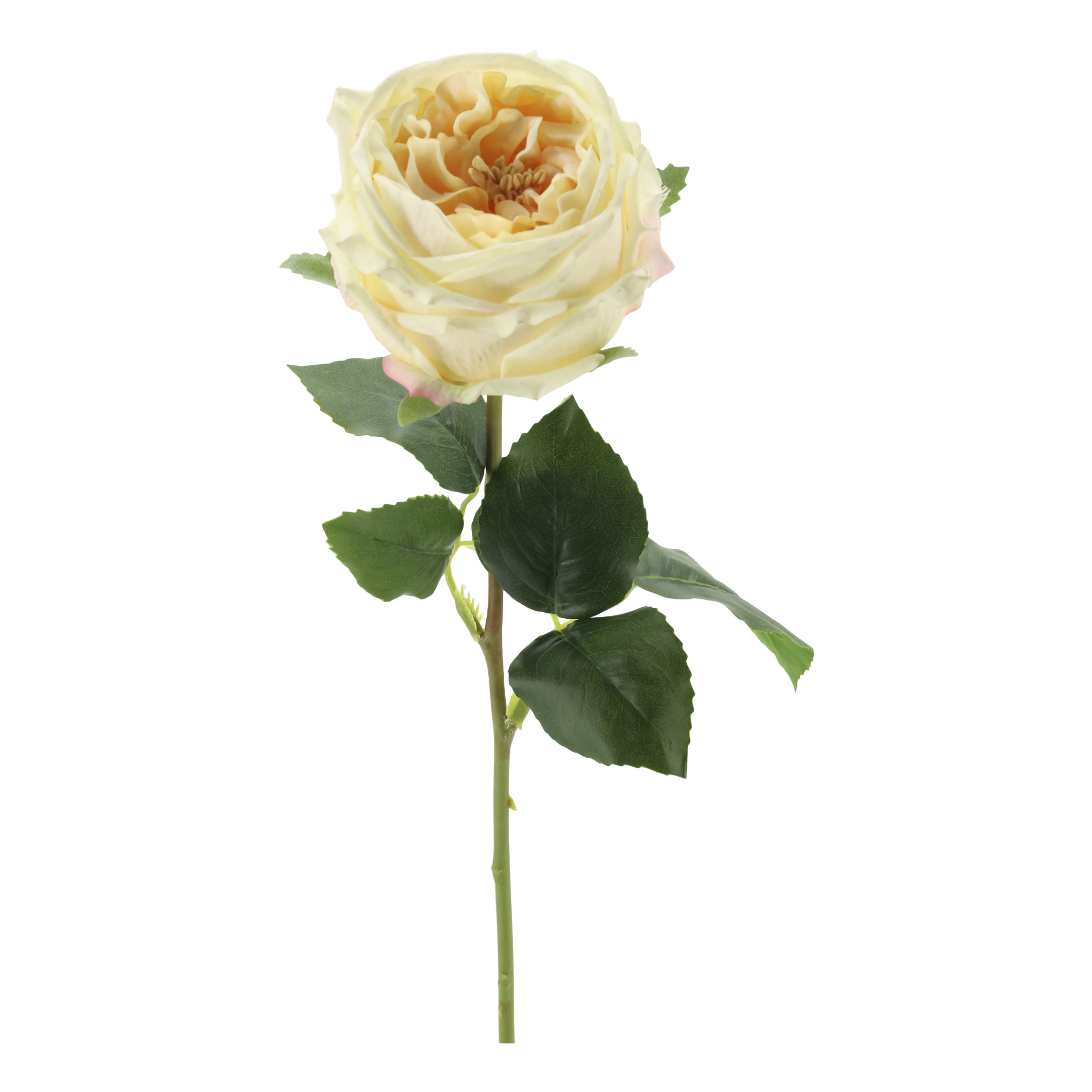 Kunstrose Blume Fleur Silk Touch Champagner 48 cm