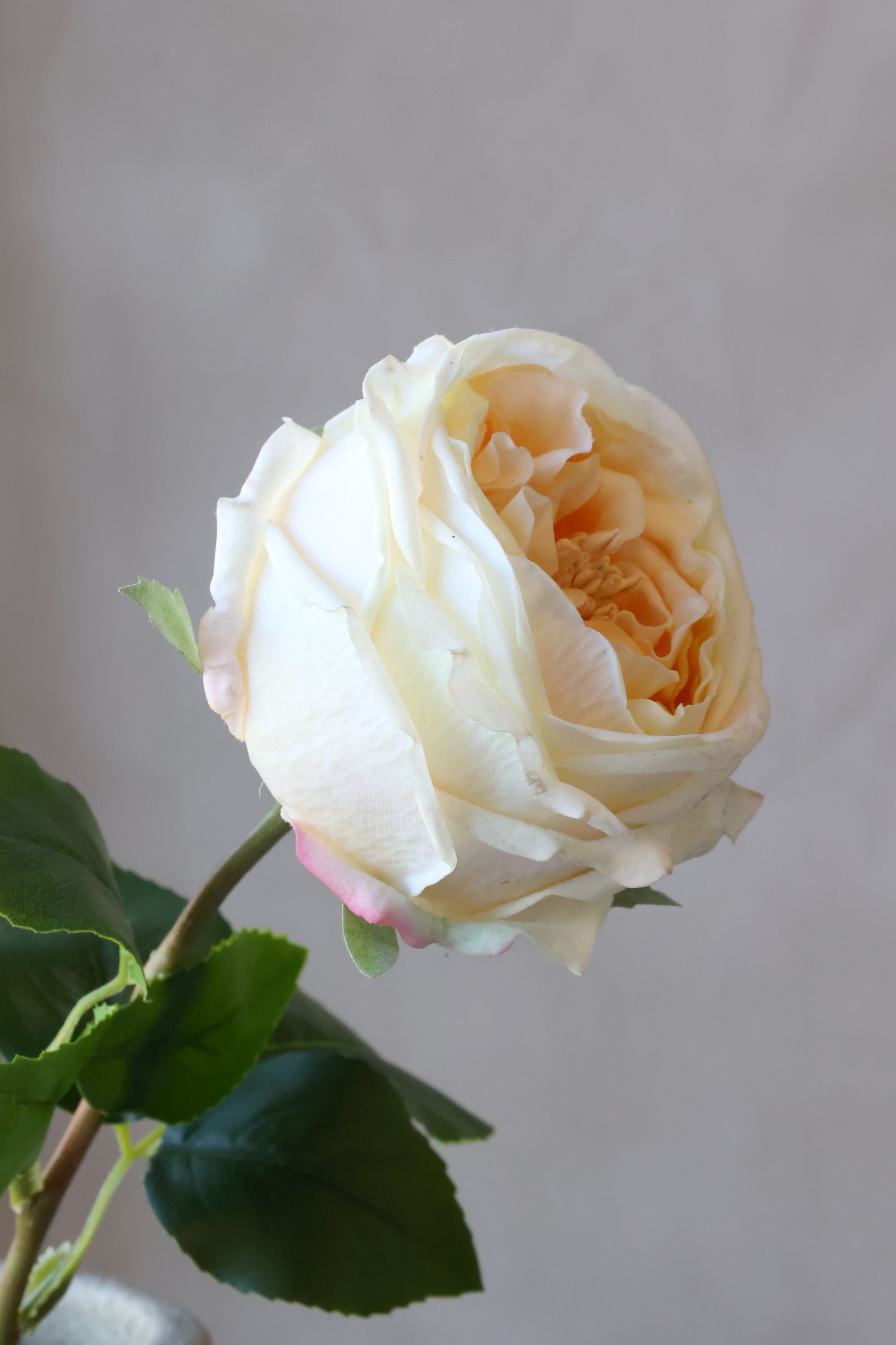 Kunstrose Blume Fleur Silk Touch Champagner 48 cm