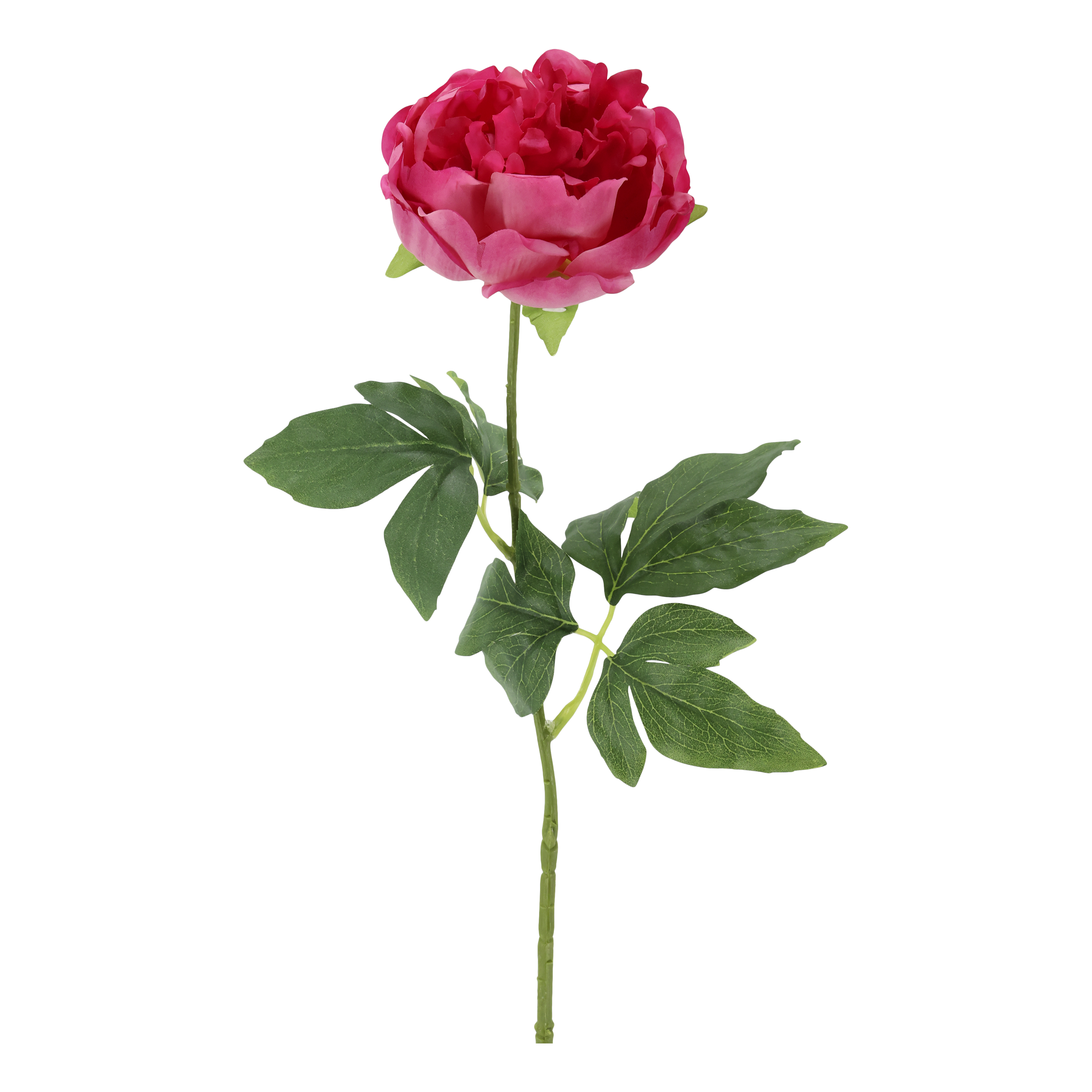 Tischlampe mit Touch: Fleur Pfingstrose Silk Touch, 60 cm