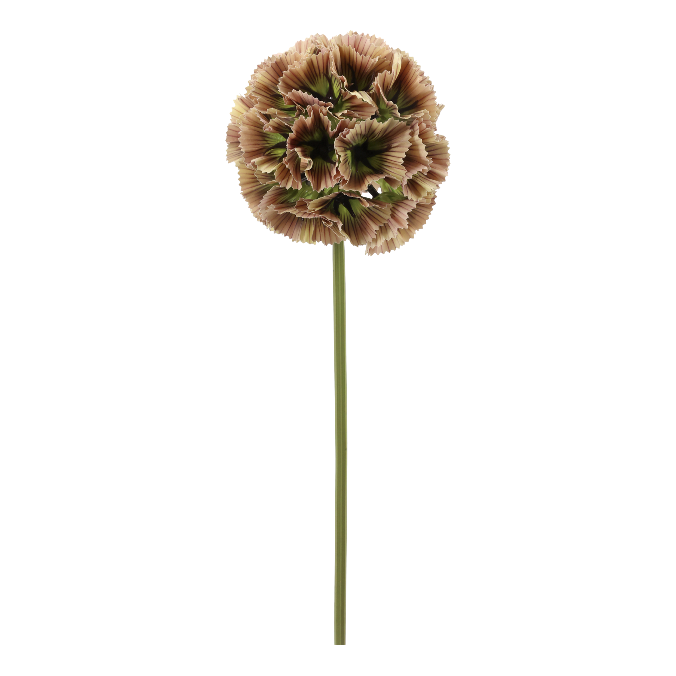 Kunstblume Fleur Stern-Skabiose in Dusty Rose, 55 cm