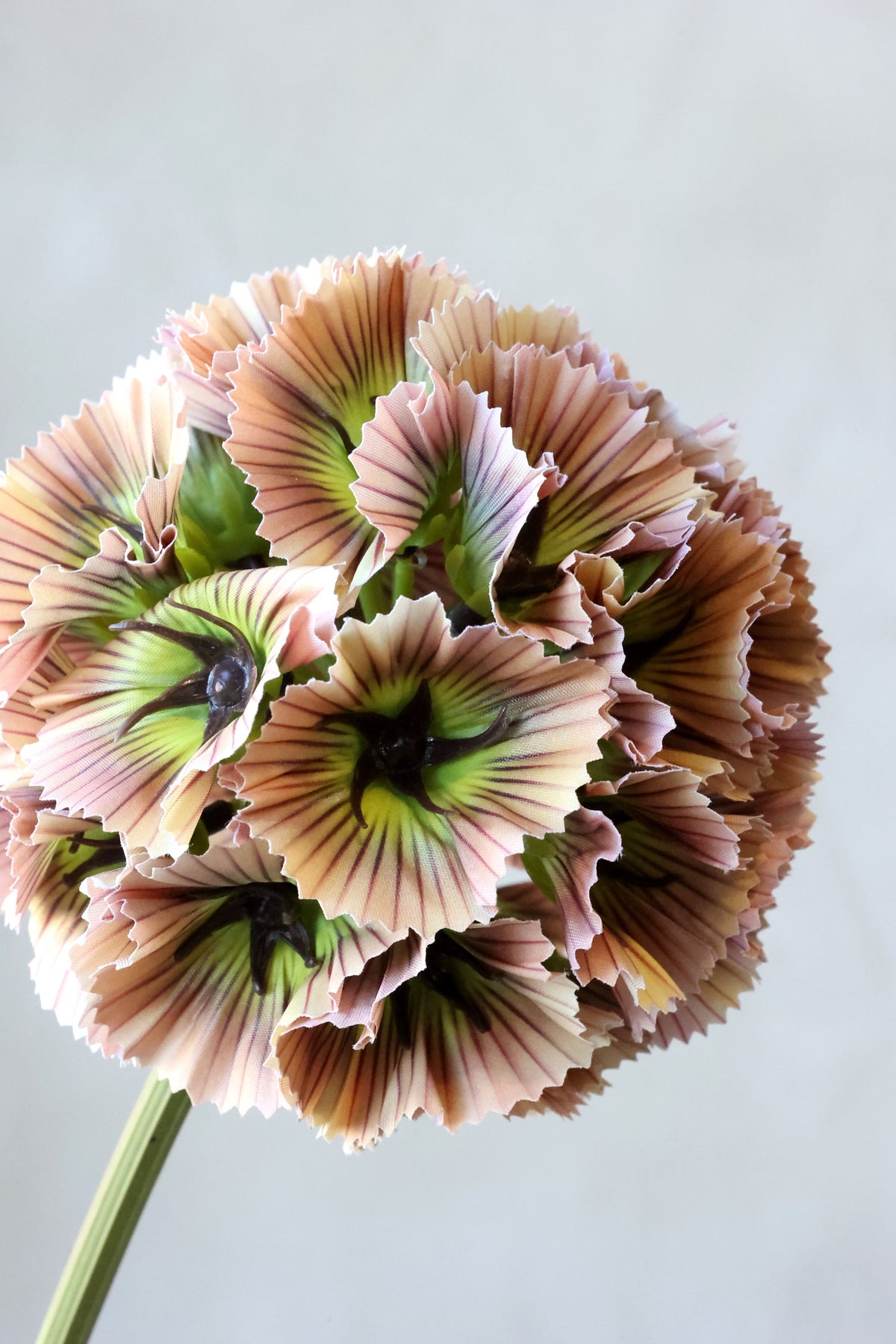 Kunstblume Fleur Stern-Skabiose in Dusty Rose, 55 cm