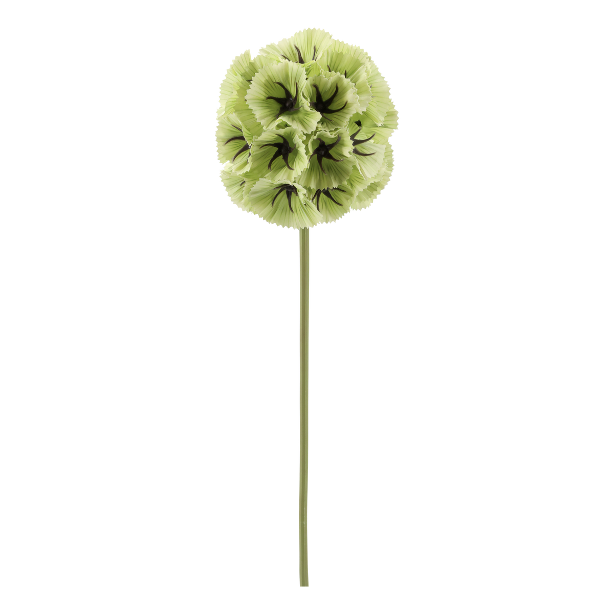 Kunstblume Fleur Stern-Skabiose, 55 cm hoch, lime