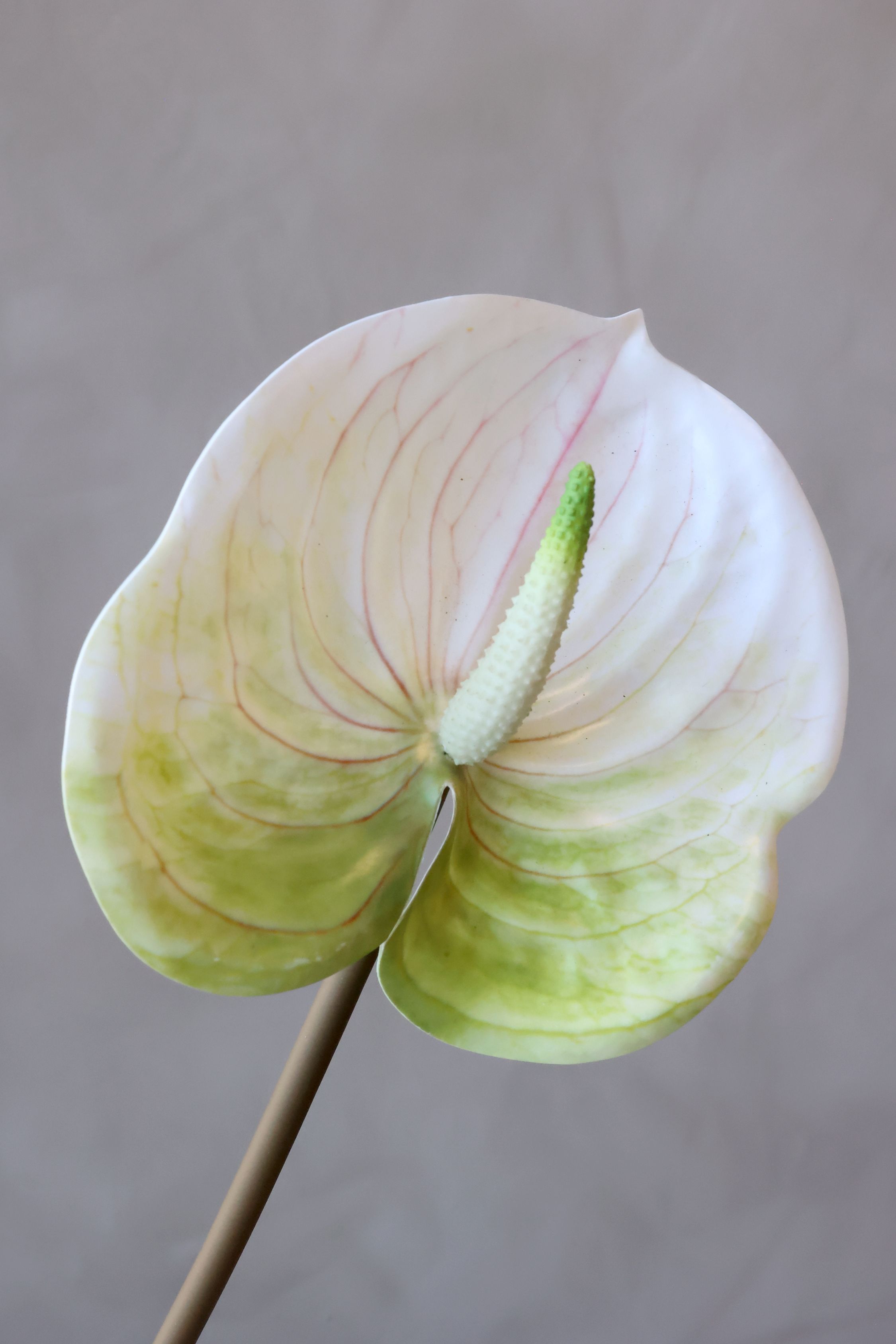 Kunstblume Fleur weiß 58 cm hoch