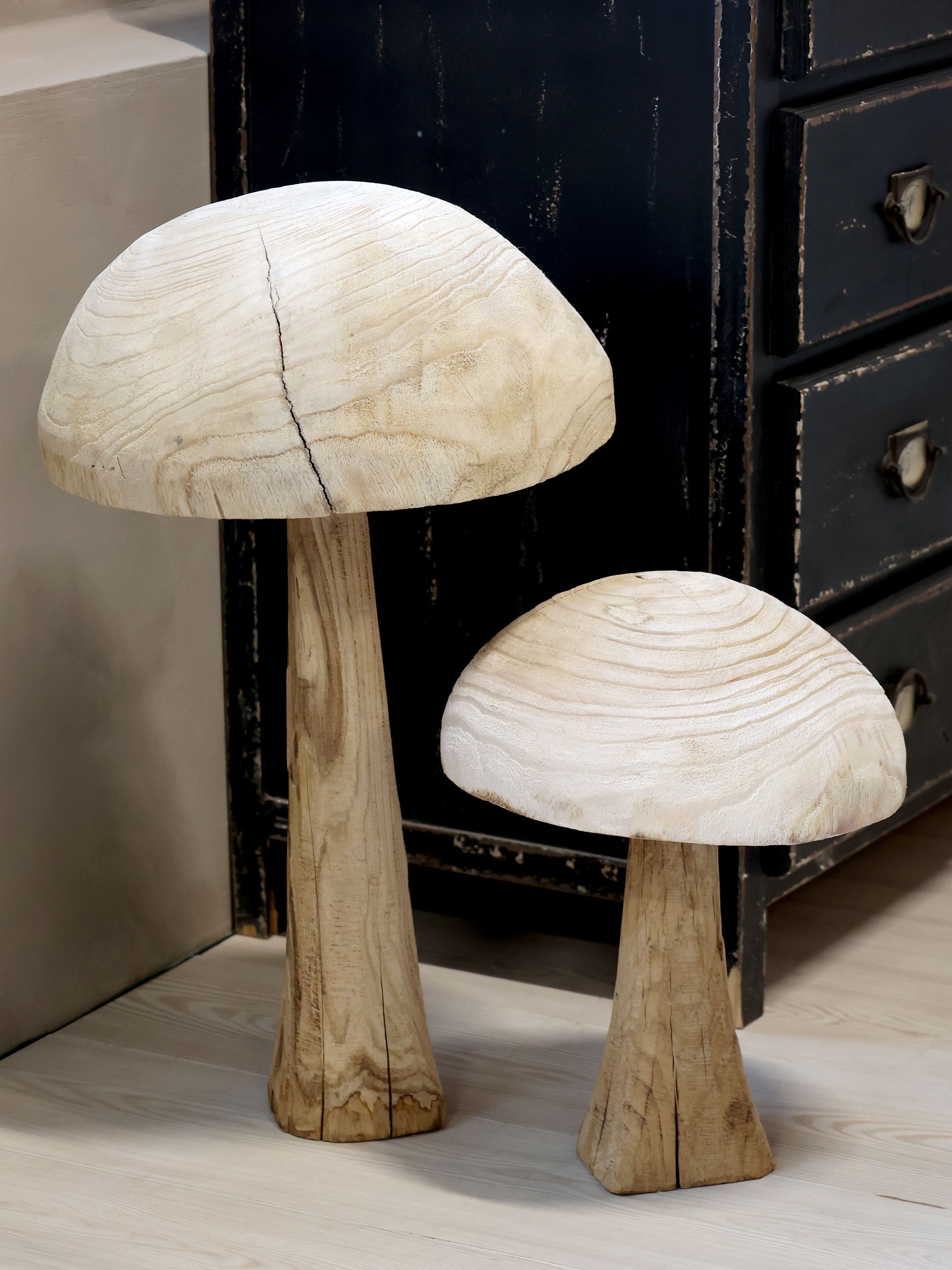 Deko Pilz aus Kaiserinbaum, 60,5 cm hoch, natur