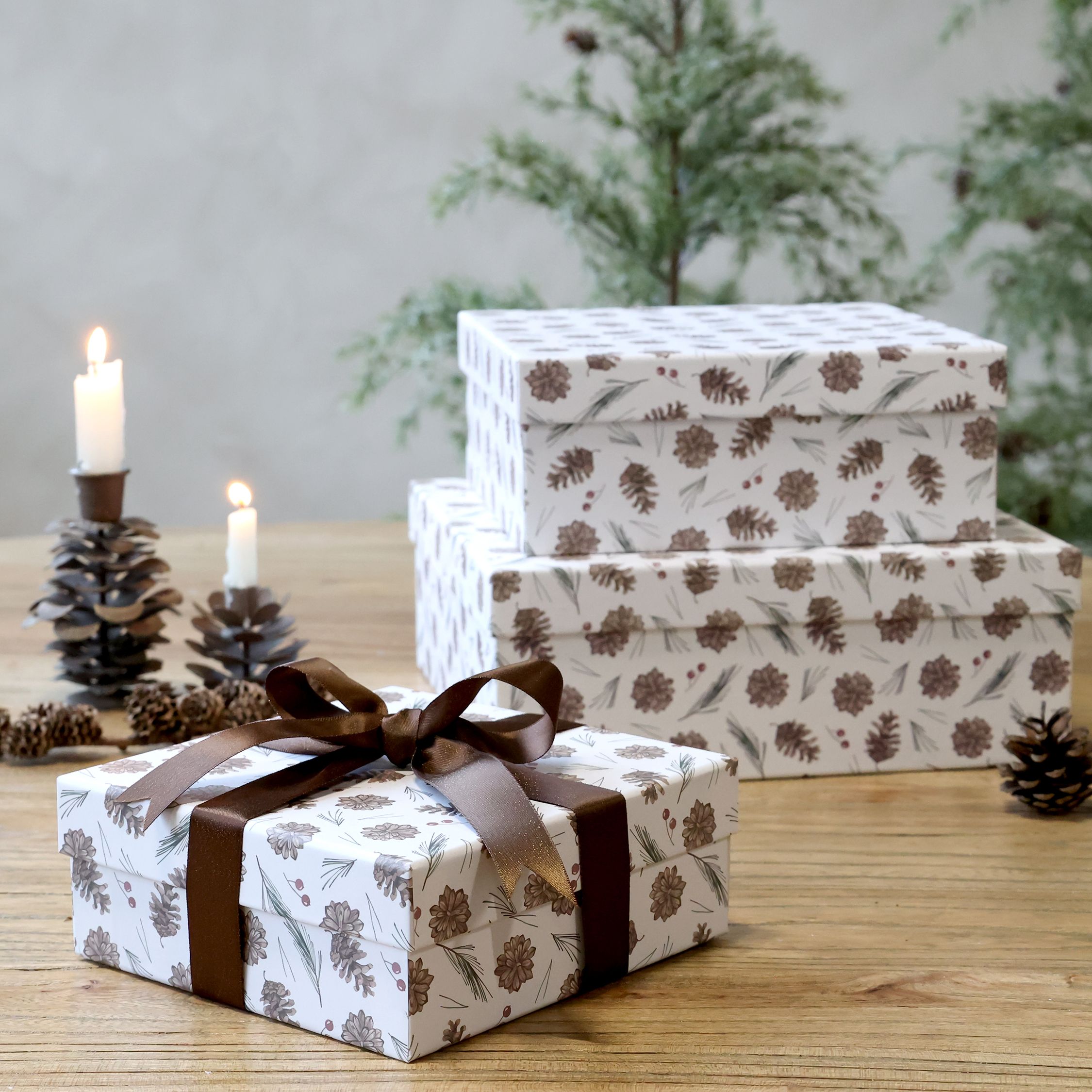 Boxen mit Zapfen Set von 3 – weiß, Papier, 25 cm