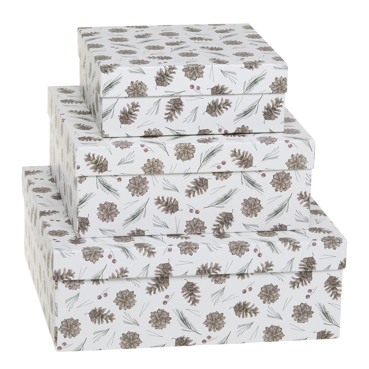 Boxen mit Zapfen Set von 3 – weiß, Papier, 25 cm