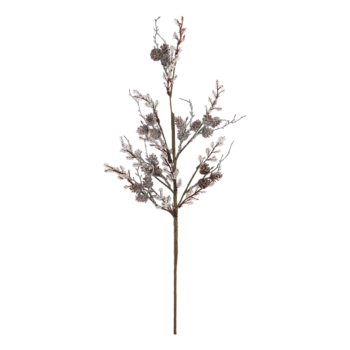 Zweig mit Frosting und Zapfen, 72 cm hoch, natur
