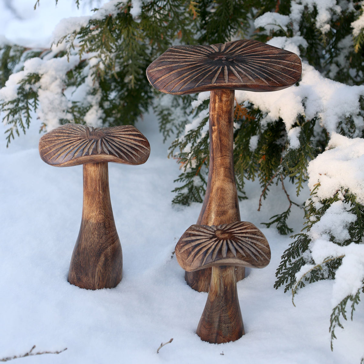Deko Pilze aus Mangoholz, 3er-Set, natur