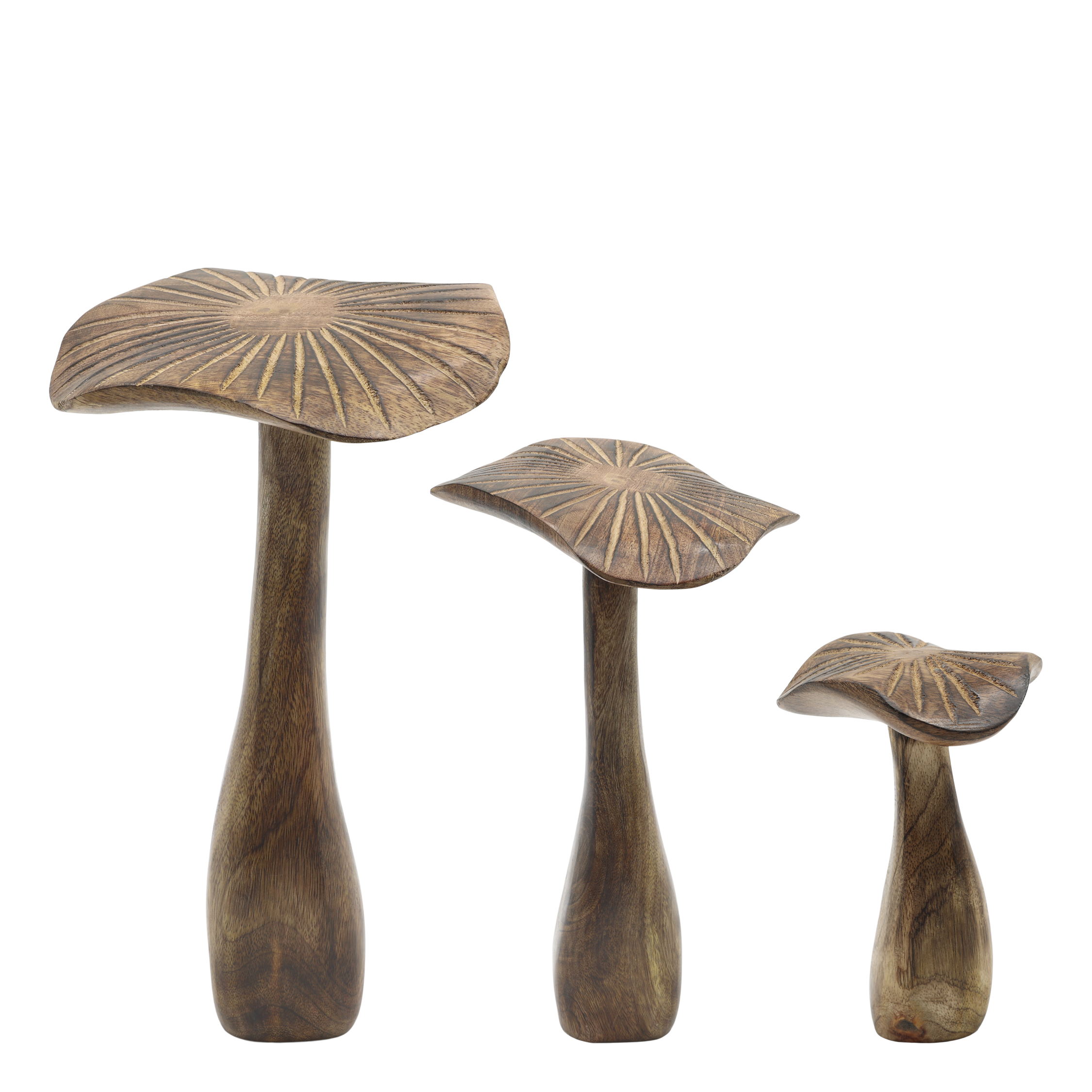 Deko Pilze aus Mangoholz, 3er-Set, natur