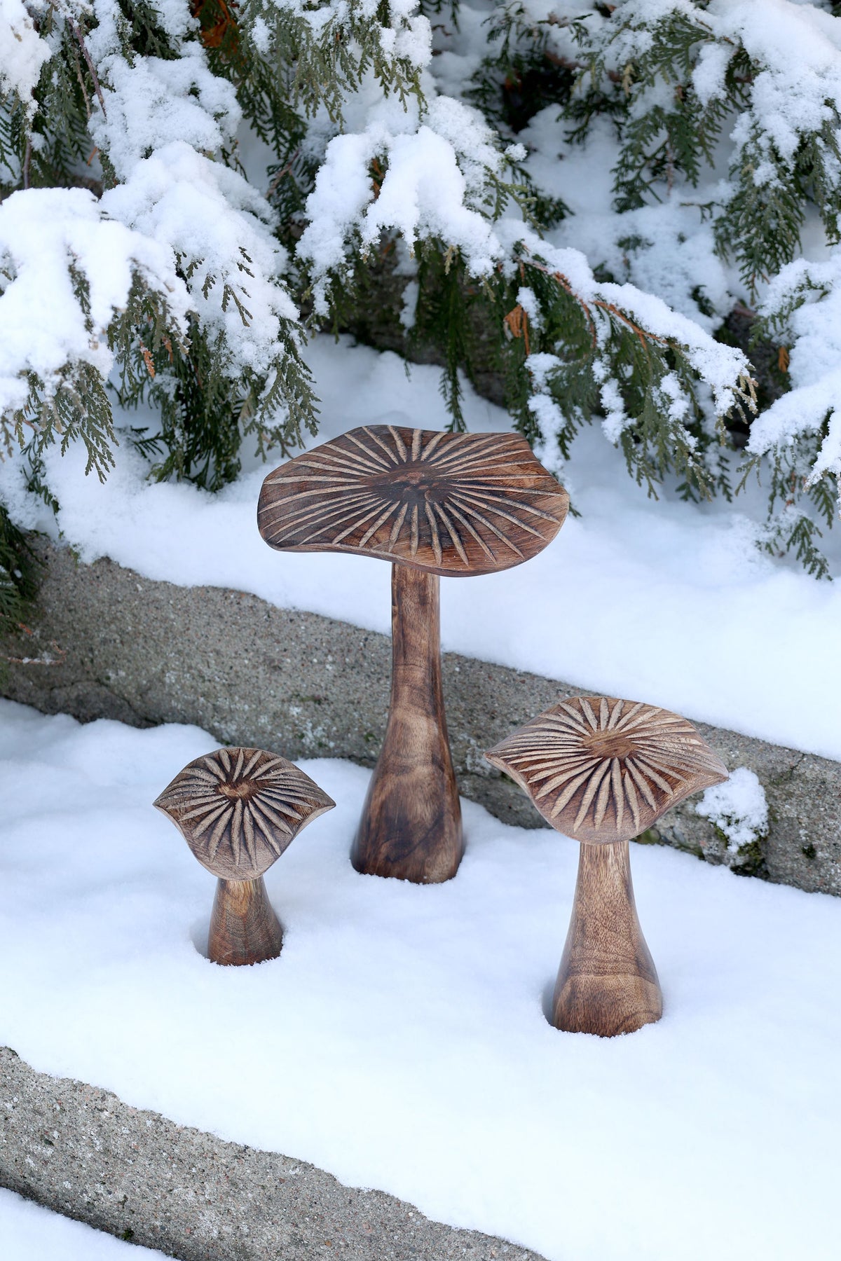 Deko Pilze aus Mangoholz, 3er-Set, natur