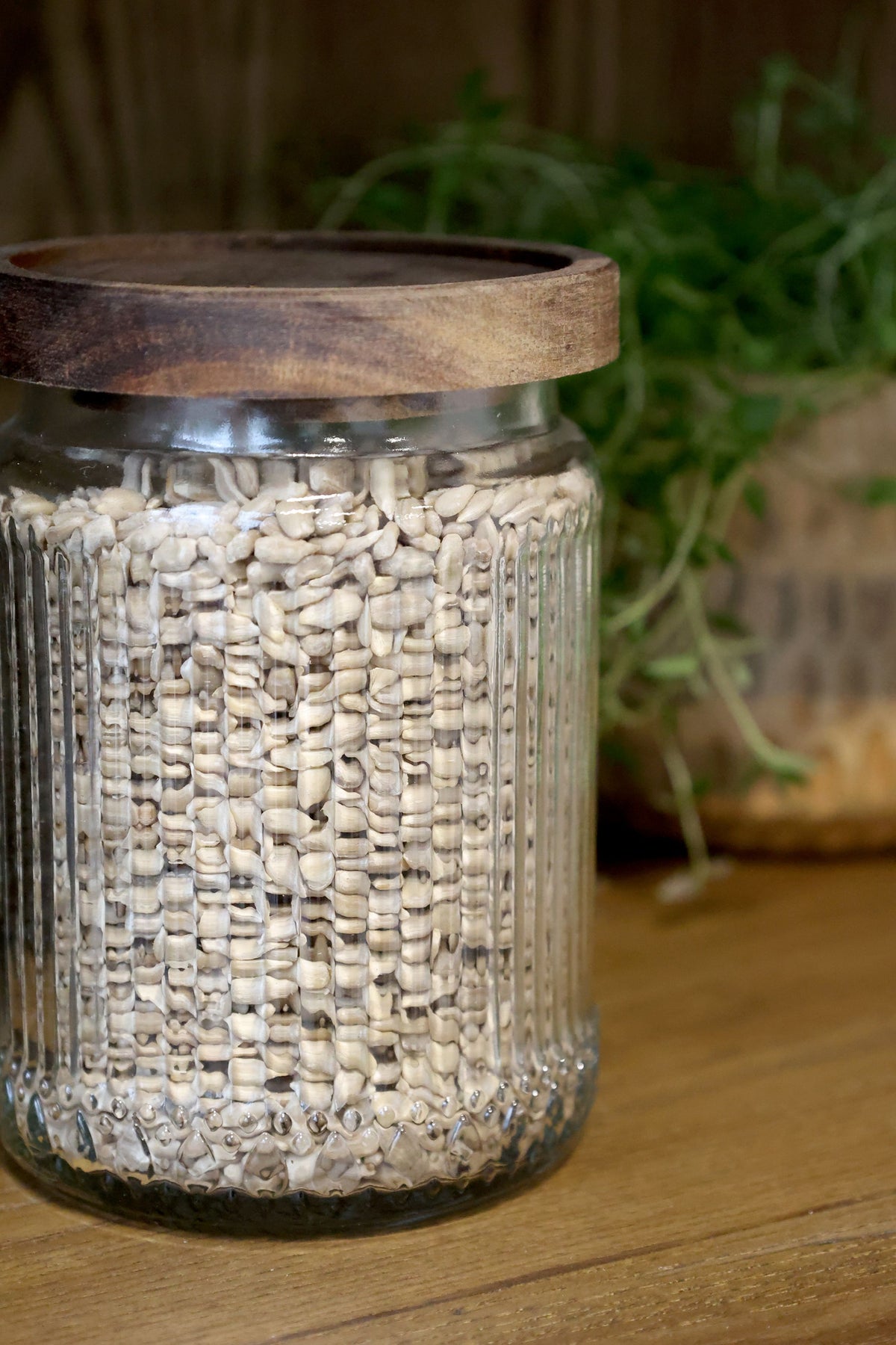 Aufbewahrungsglas mit Perlrandmuster, 700 ml