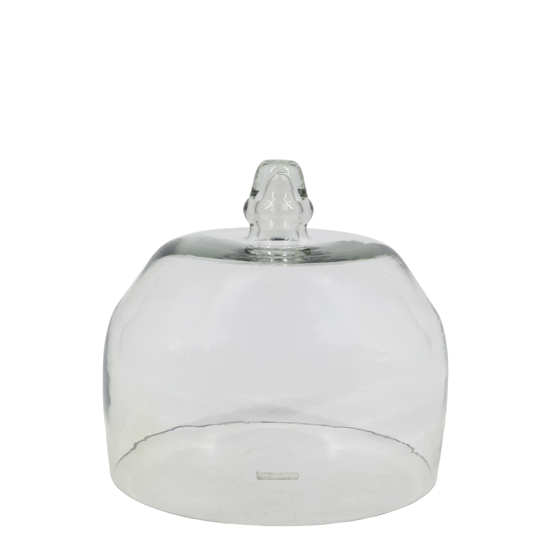 Glass Dome H15/D15 cm clear