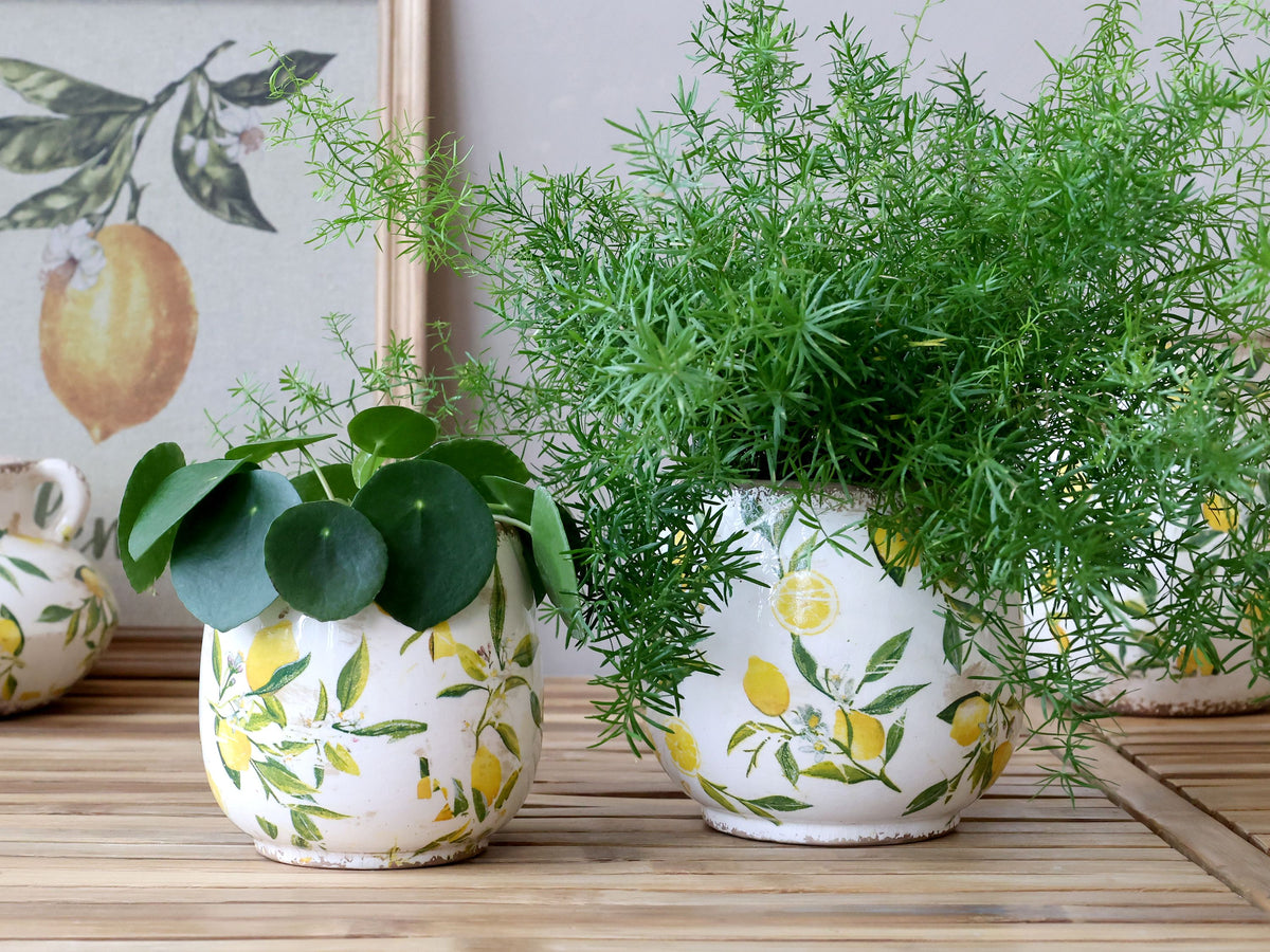 Übertopf Limone mit Zitronenmotiv, 17 cm Durchmesser