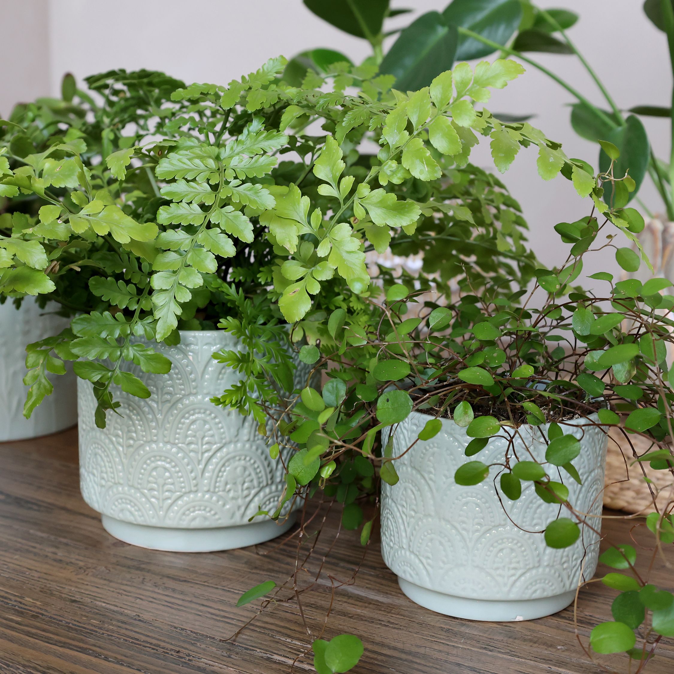 Fayence Blumentopf mit Muster, Porzellan, 10 cm hoch
