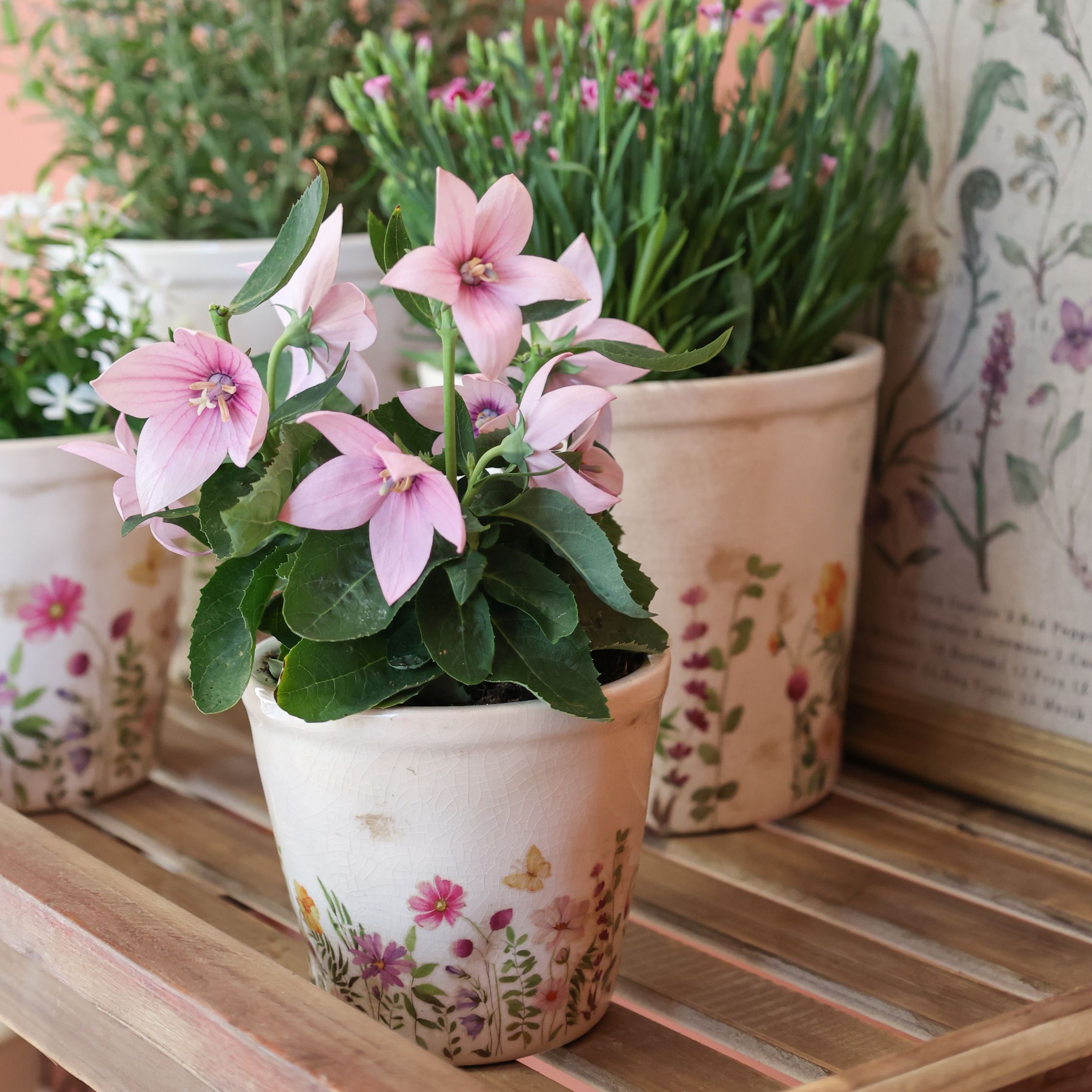 Avignon Blumentopf mit Blumenmotiv, 10 cm hoch, creme