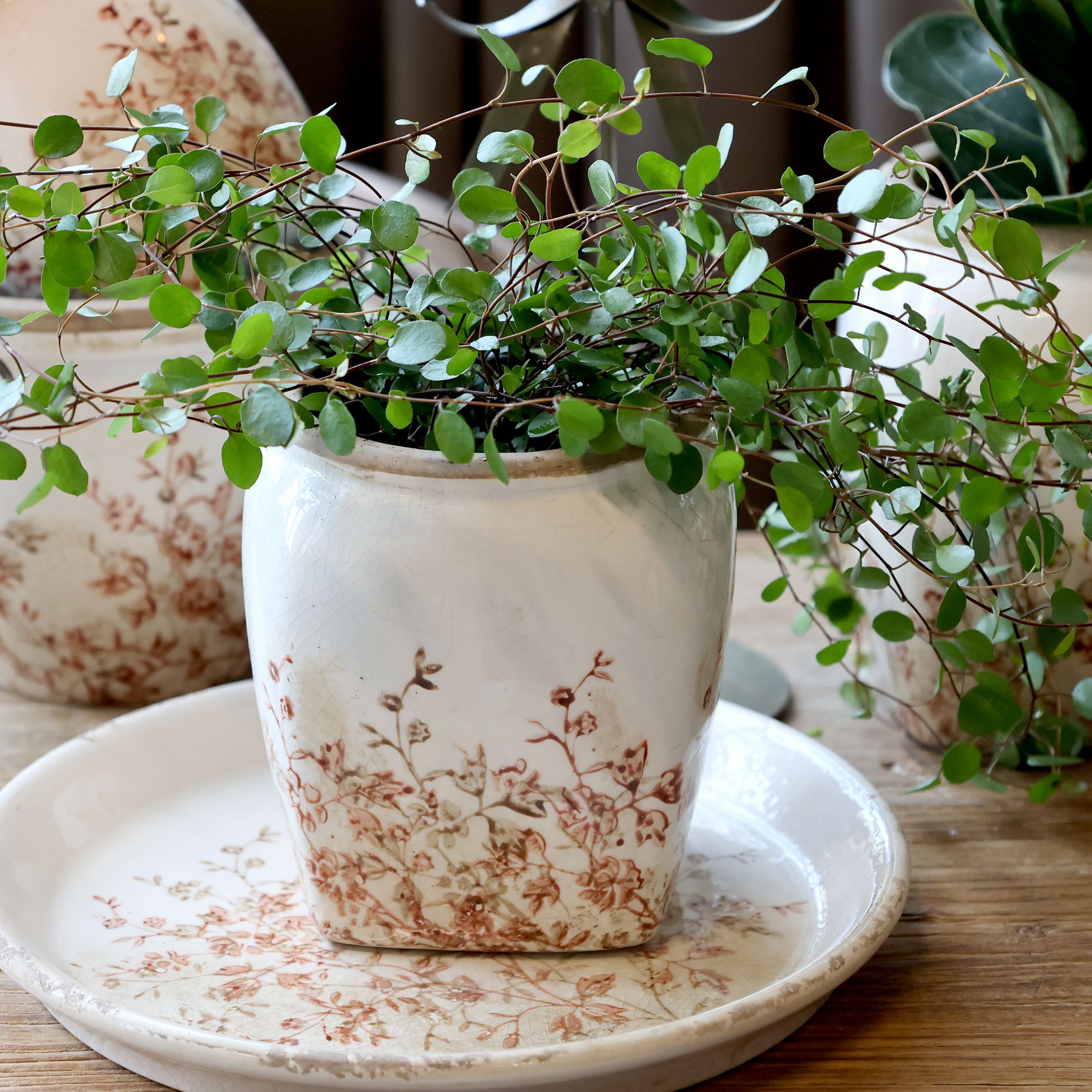 Chaville Übertopf aus Keramik, 13 cm hoch, creme