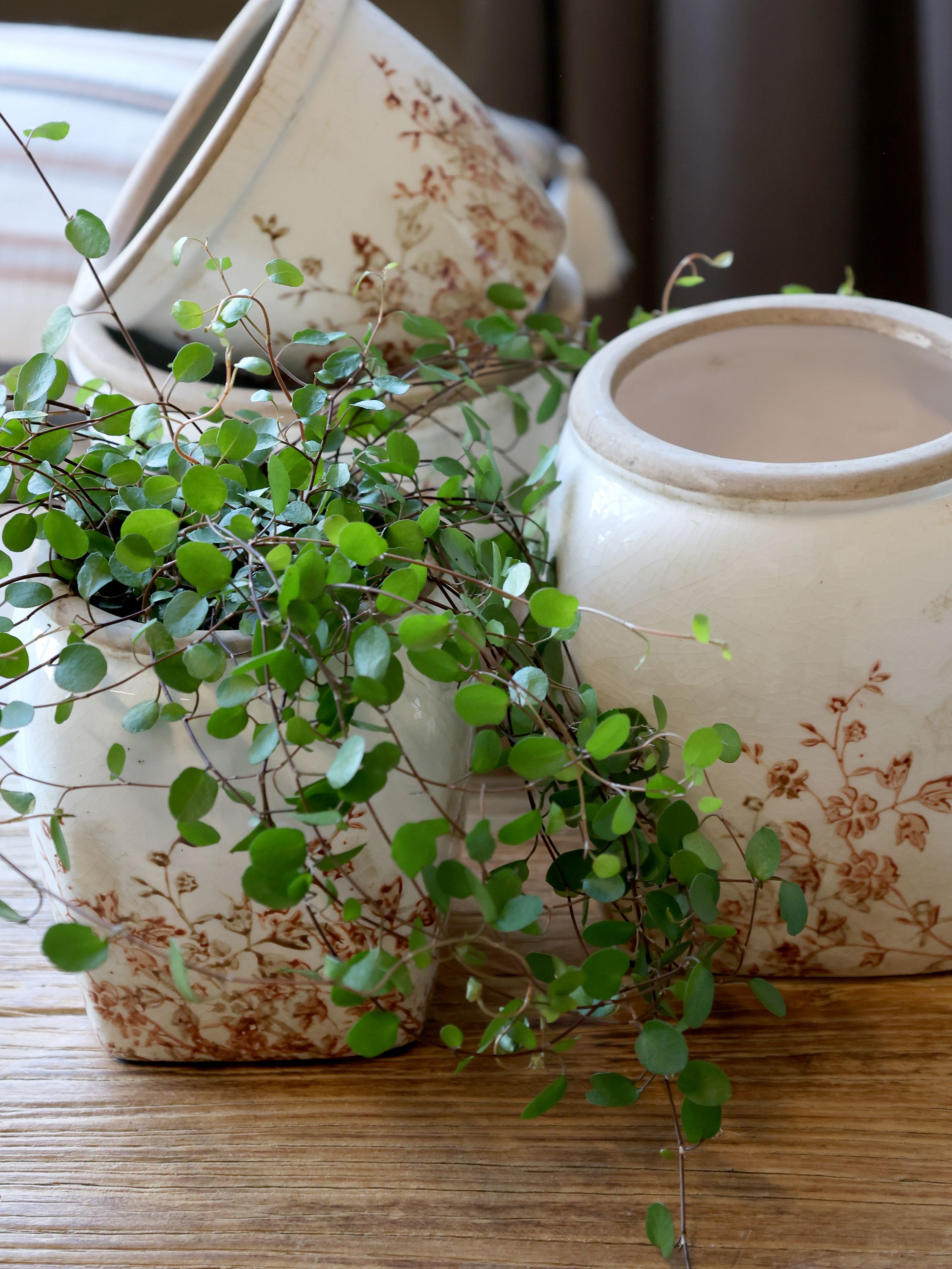 Chaville Übertopf aus Keramik, 13 cm hoch, creme