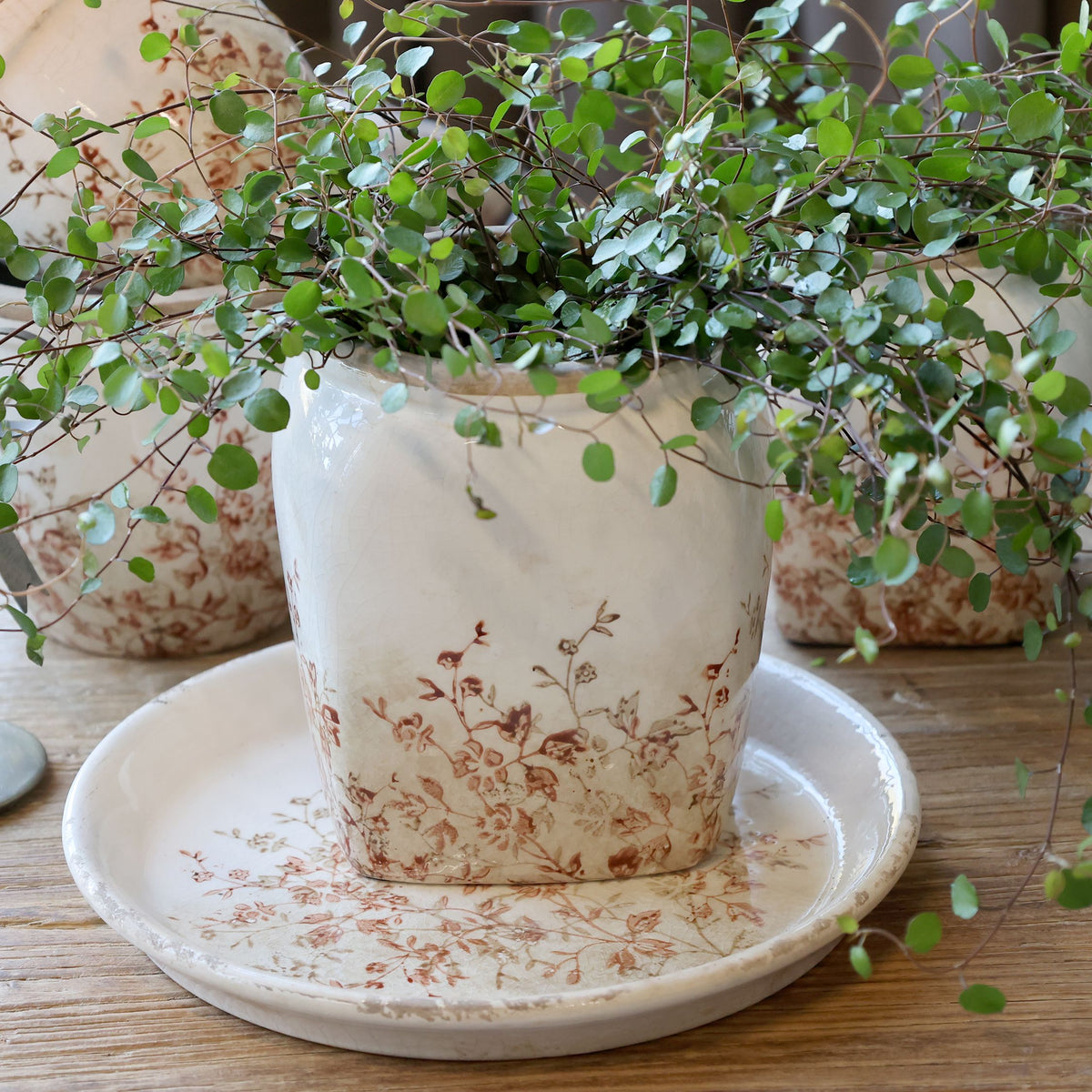 Chaville Übertopf aus Keramik, creme, 15 cm hoch