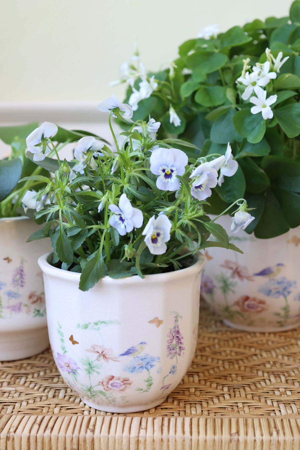 Blumen Übertopf Papillon mit Blumen, 10,5 cm hoch, creme