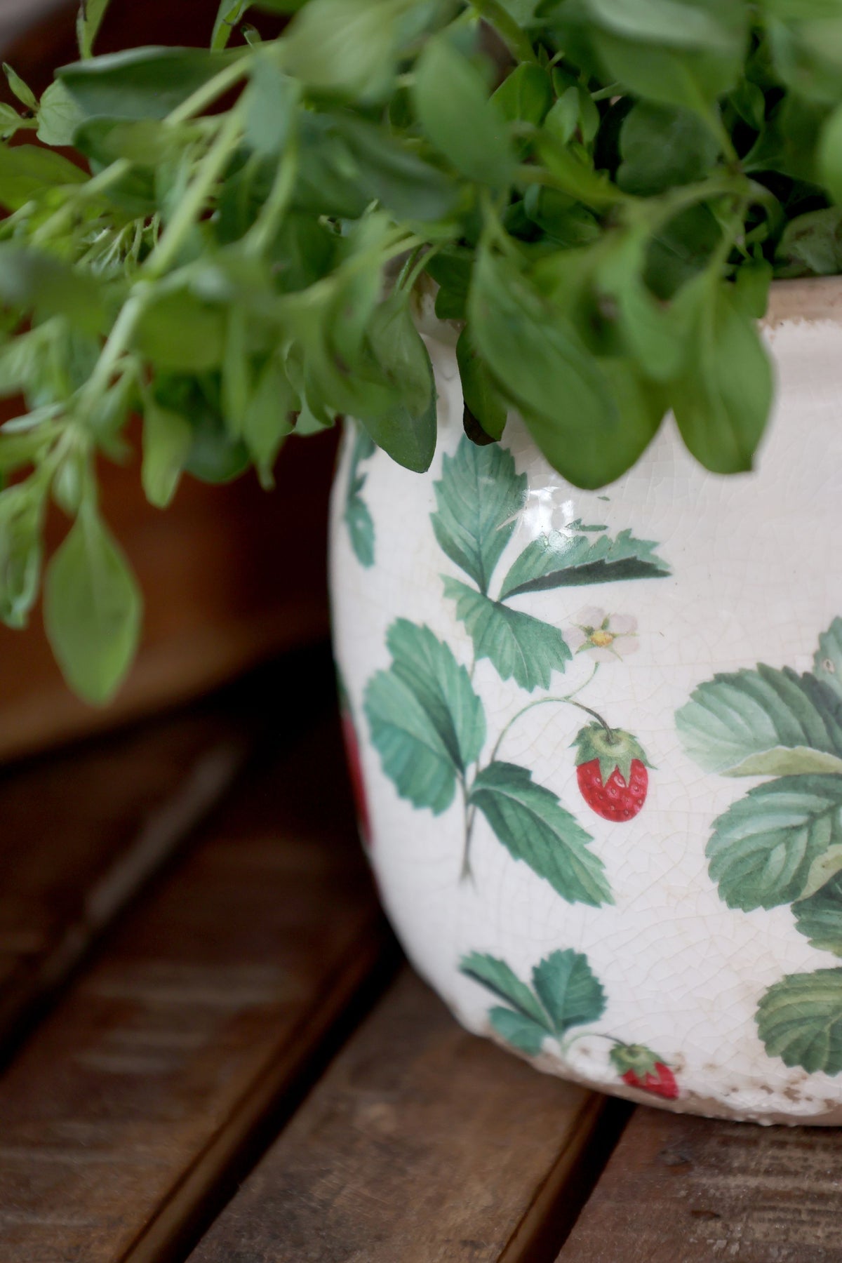 Fraises Übertopf mit Erdbeeren, 12 cm Durchmesser, Creme