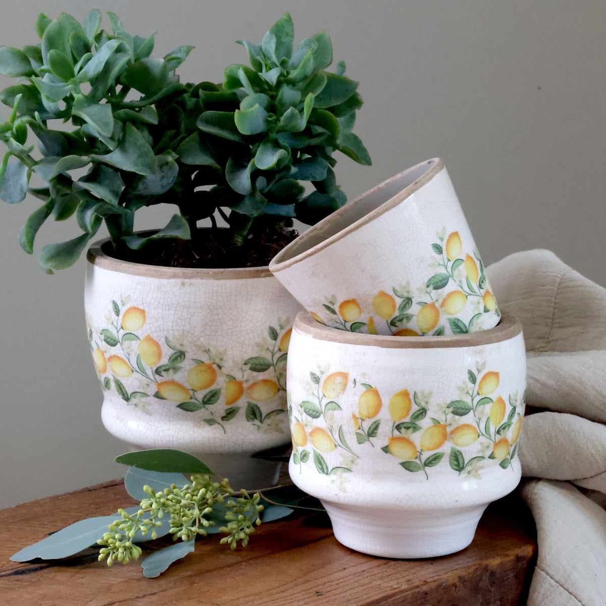 Blumen Übertopf Limone Blossom mit Zitronen und Blumen