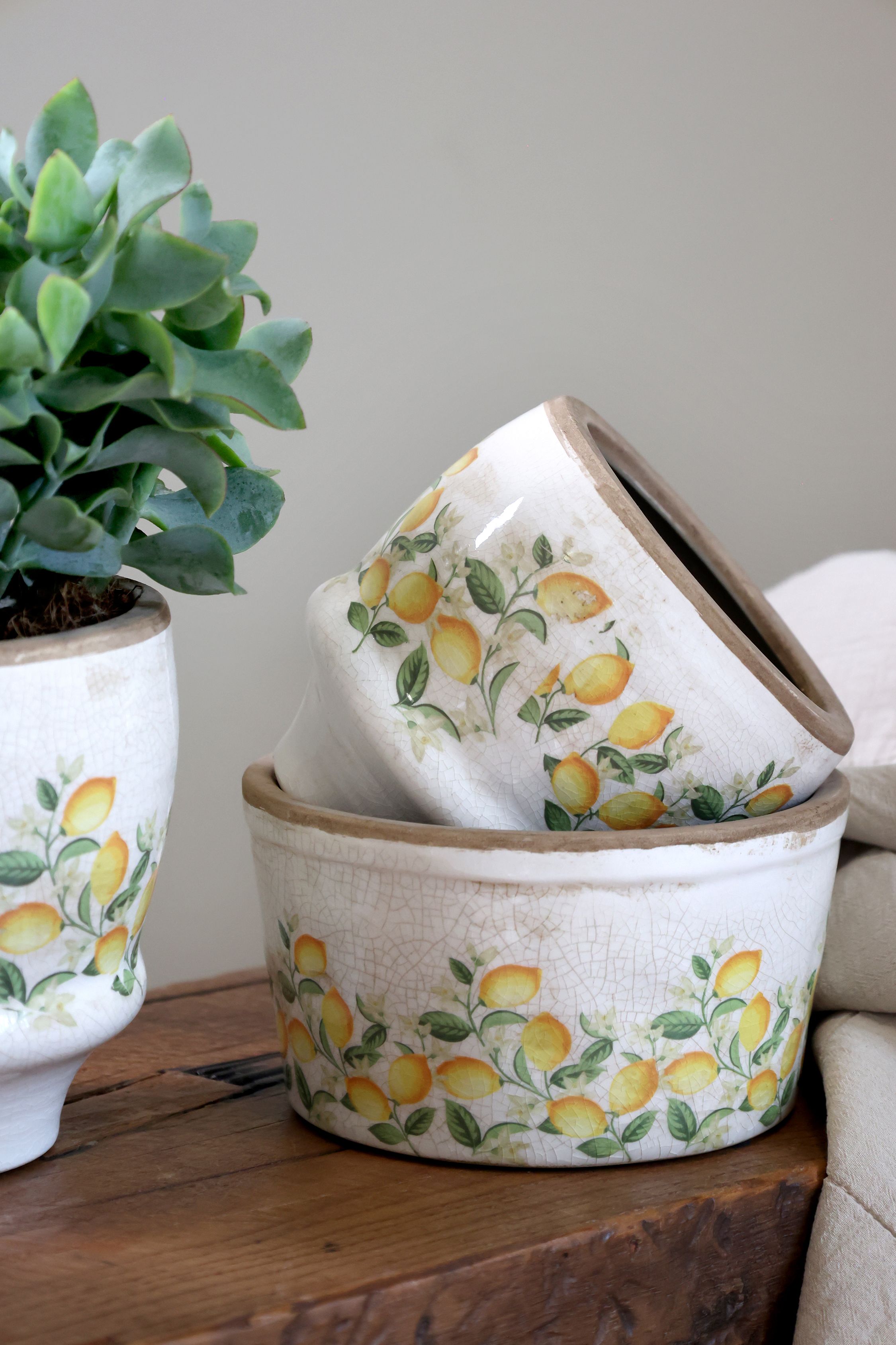 Blumen Übertopf Limone Blossom mit Zitronen und Blumen