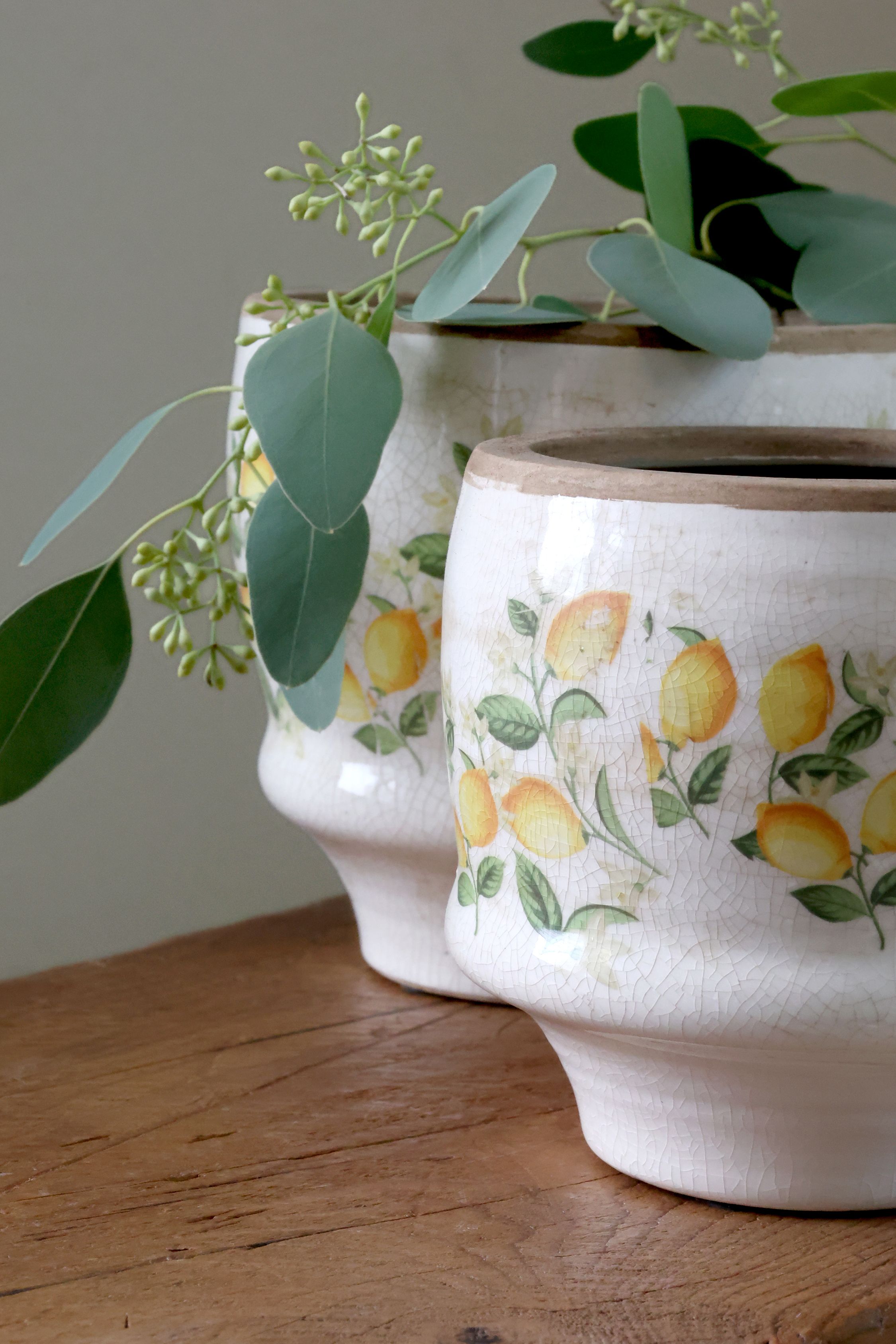 Blumen Übertopf Limone Blossom mit Zitronen und Blumen