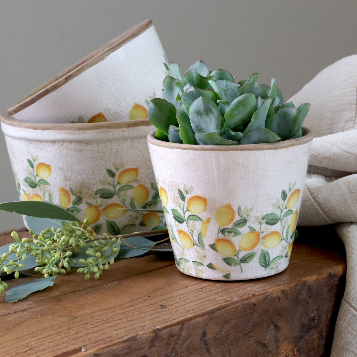 Limone Blossom Übertopf mit Zitronen und Blumen, creme