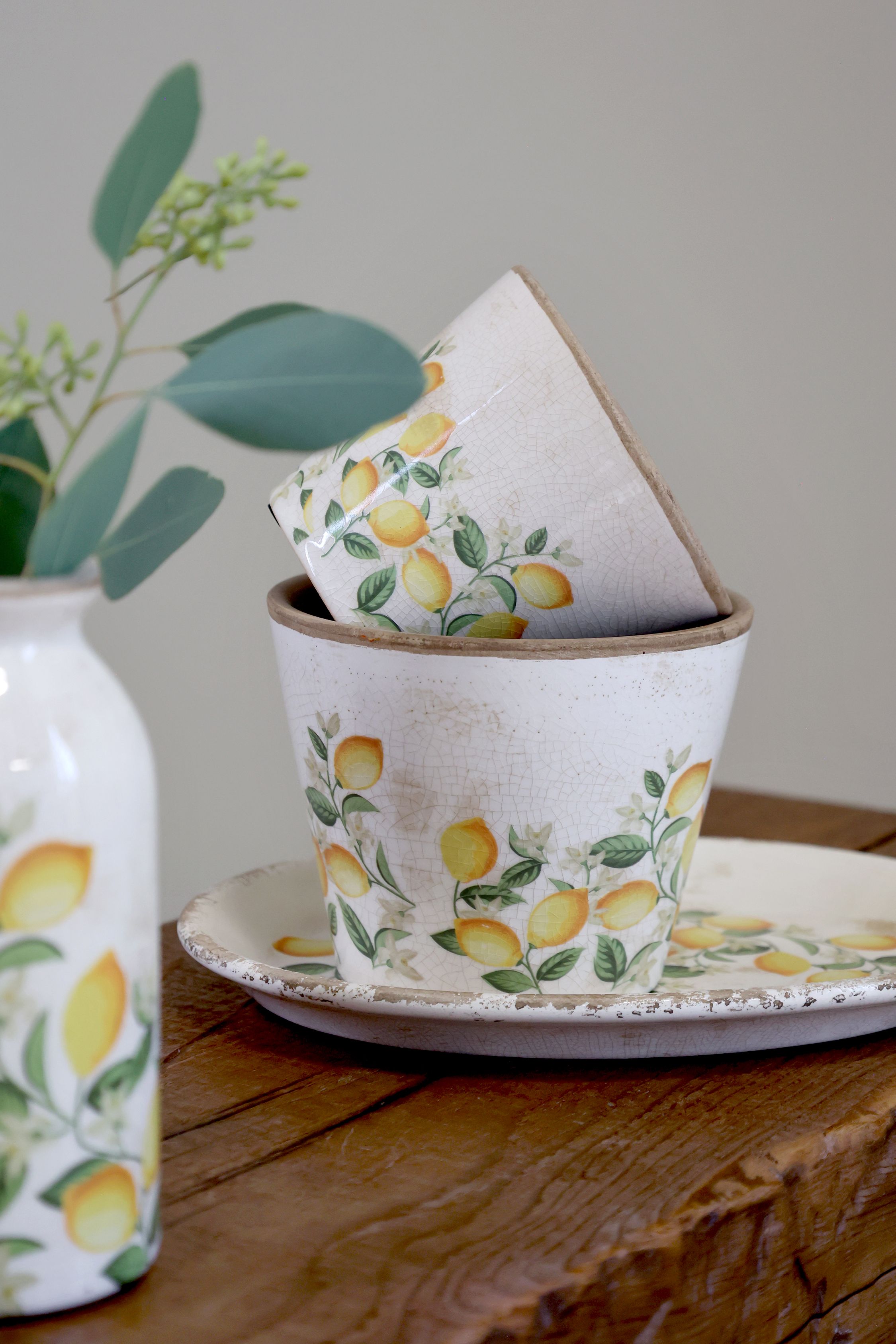 Blumen Übertopf Limone Blossom, Zitronen und Blumen, creme