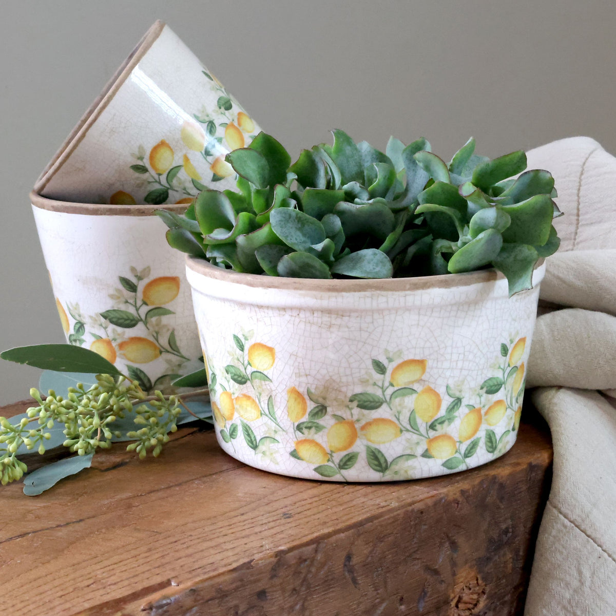Blumen Übertopf mit Zitronenmotiv, Keramik, 16,5 cm