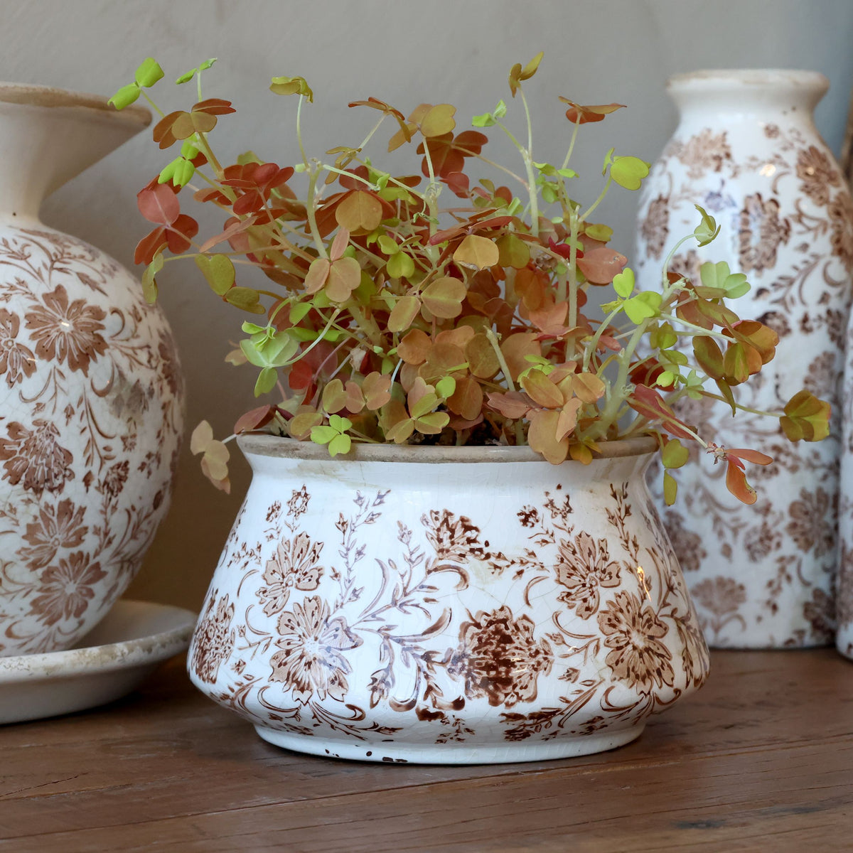 Grenoble Übertopf mit Blumenmotiv, Mokka, 14,5 cm hoch